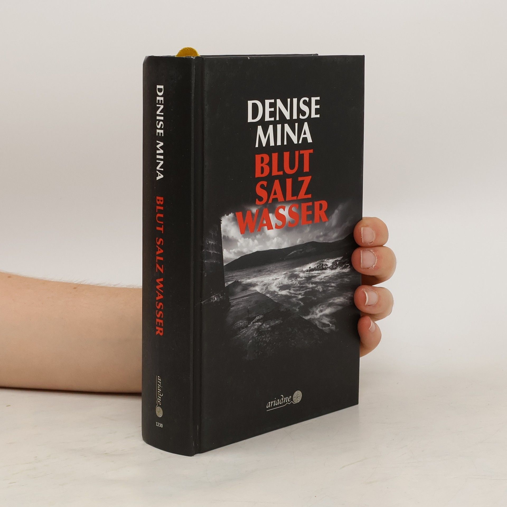 Denise Mina Blut - Salz - Wasser