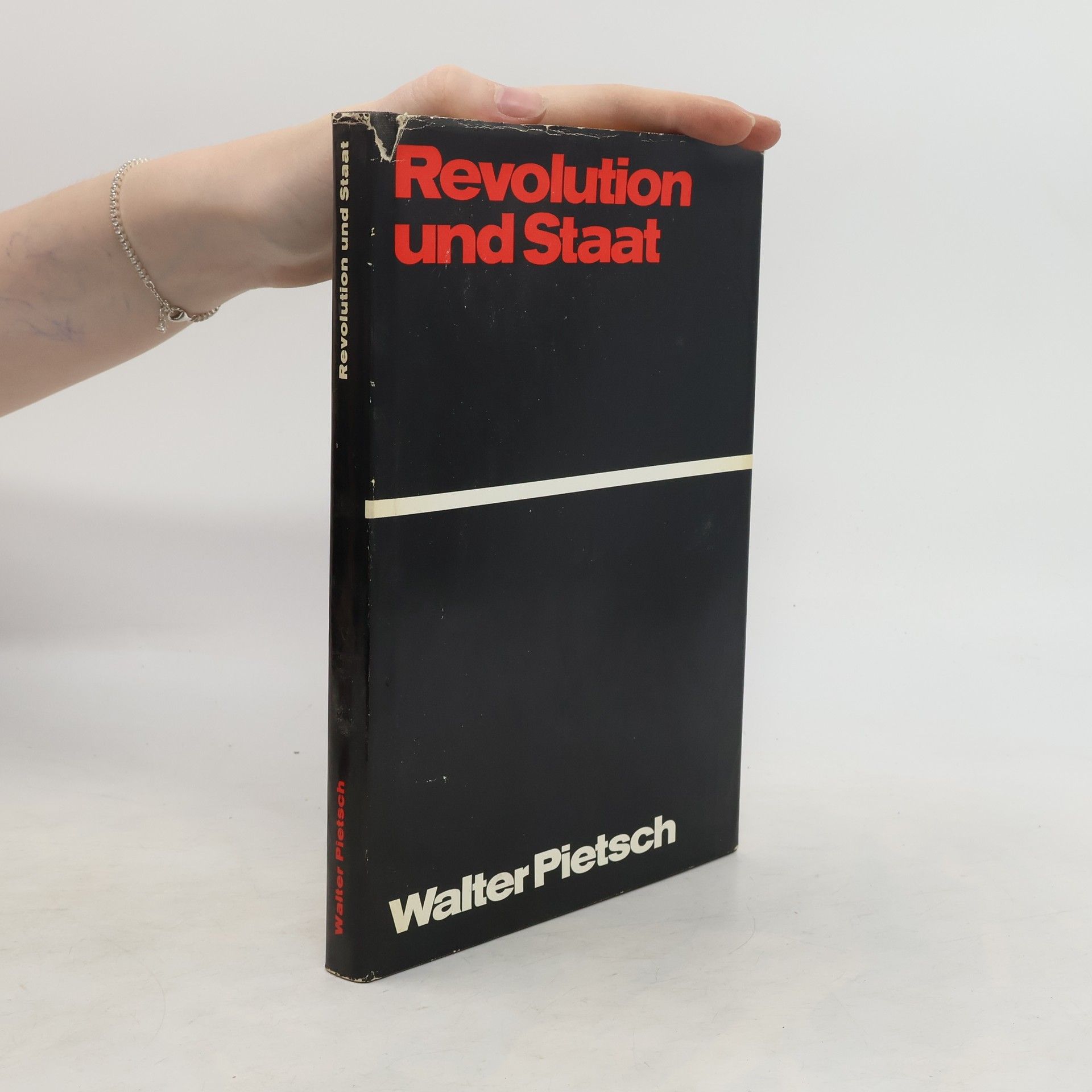 Walter Pietsch Revolution und Staat