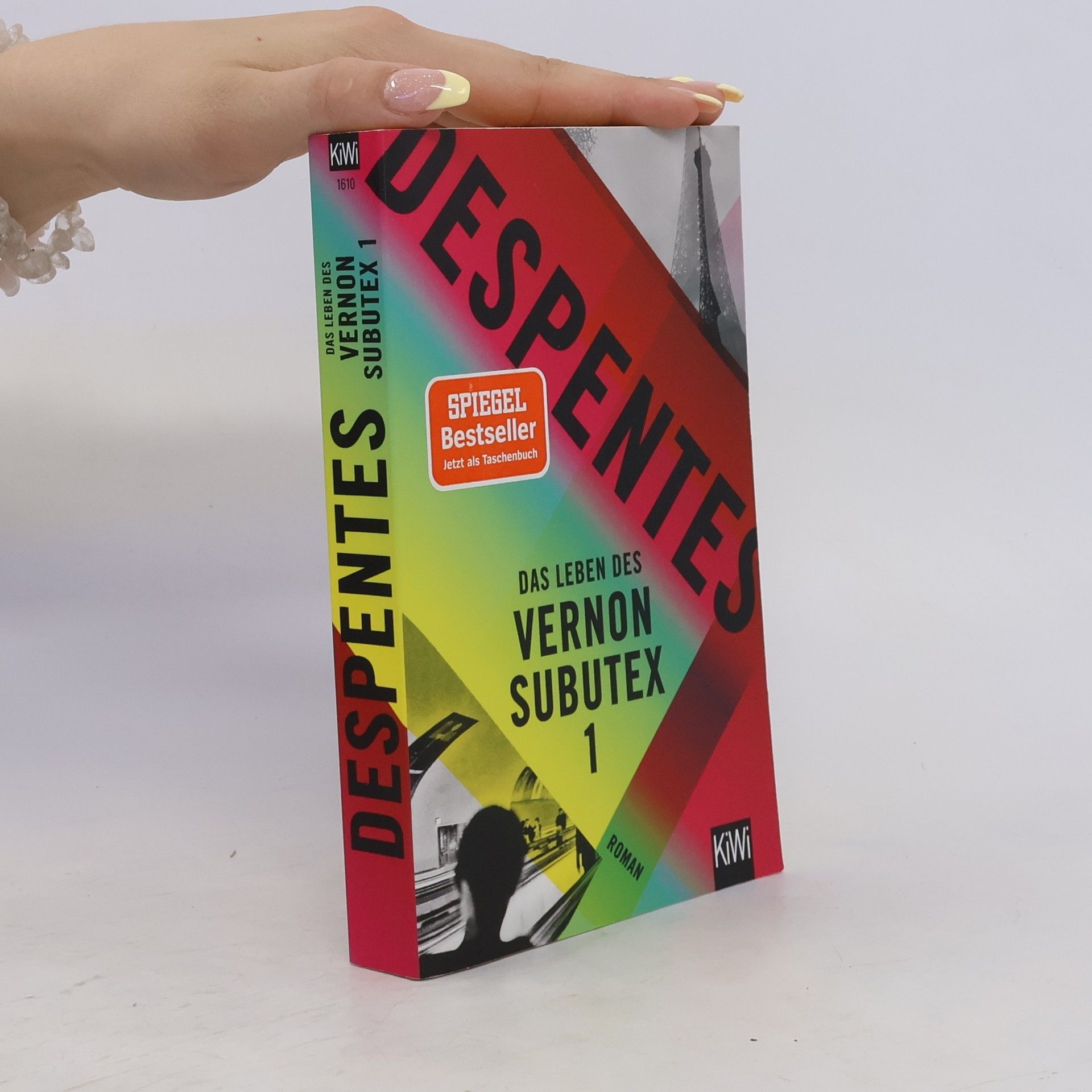Virginie Despentes Das Leben des Vernon Subutex 1