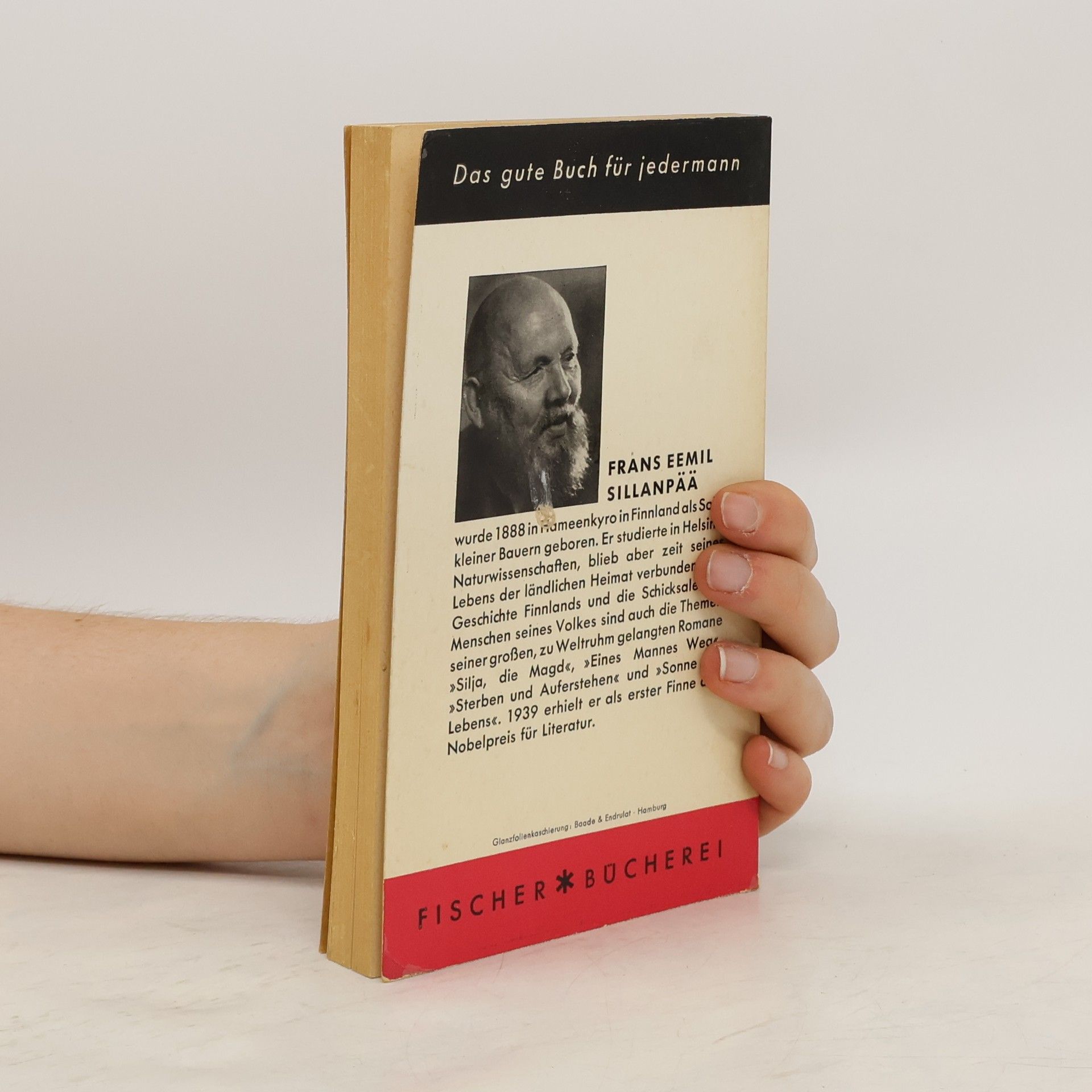 F.E. Sillanpää Sterben und Auferstehen