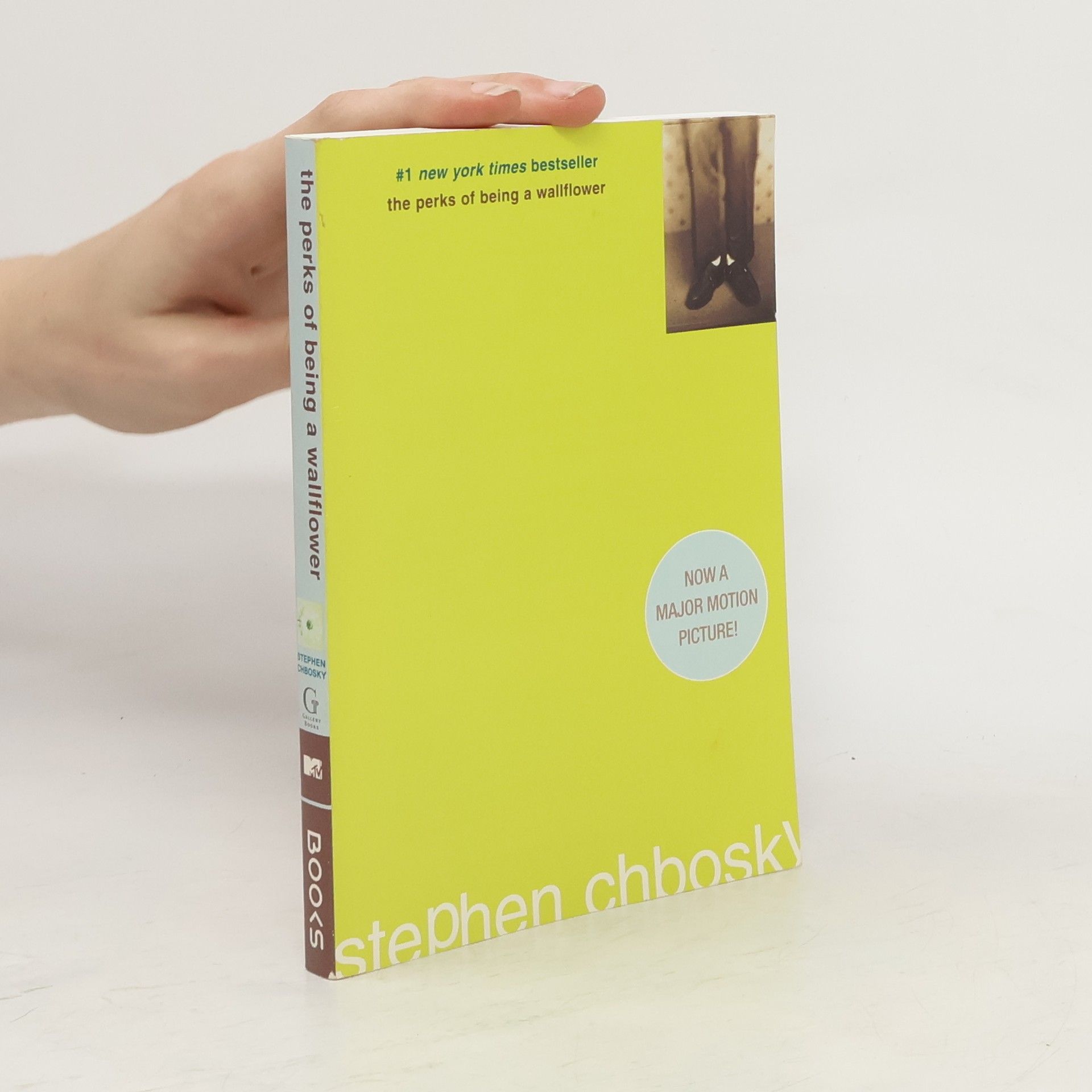 Stephen Chbosky The Perks of Being a Wallflower