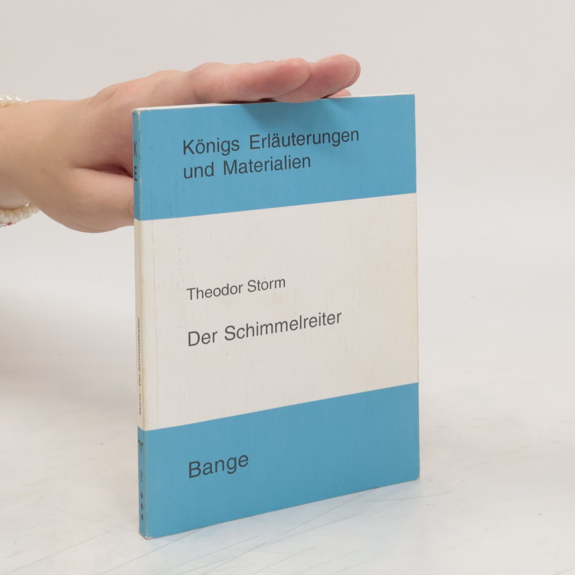 Gerd Eversberg Erläuterungen zu Theodor Storm, Der Schimmelreiter