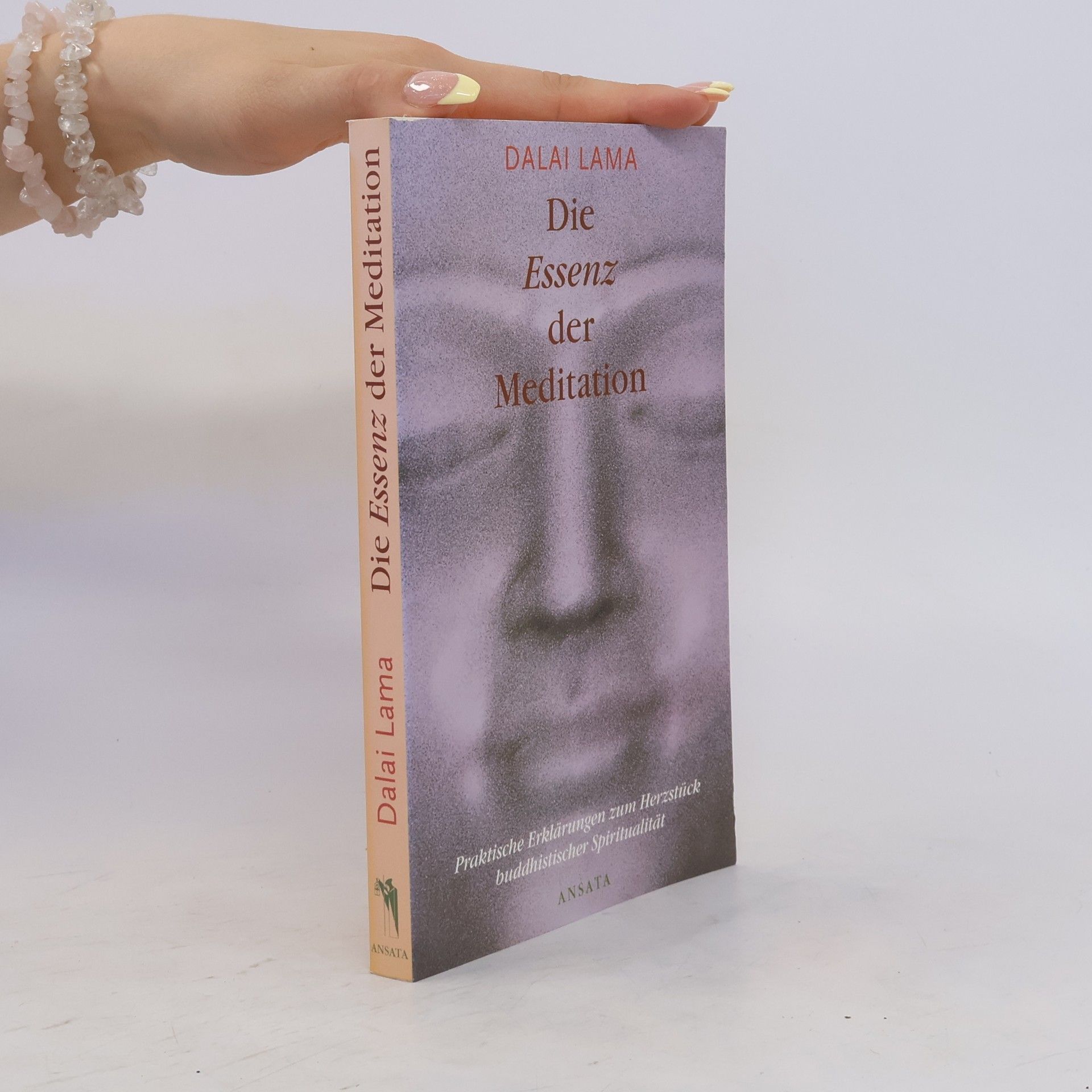 Dalaï-Lama Die Essenz der Meditation