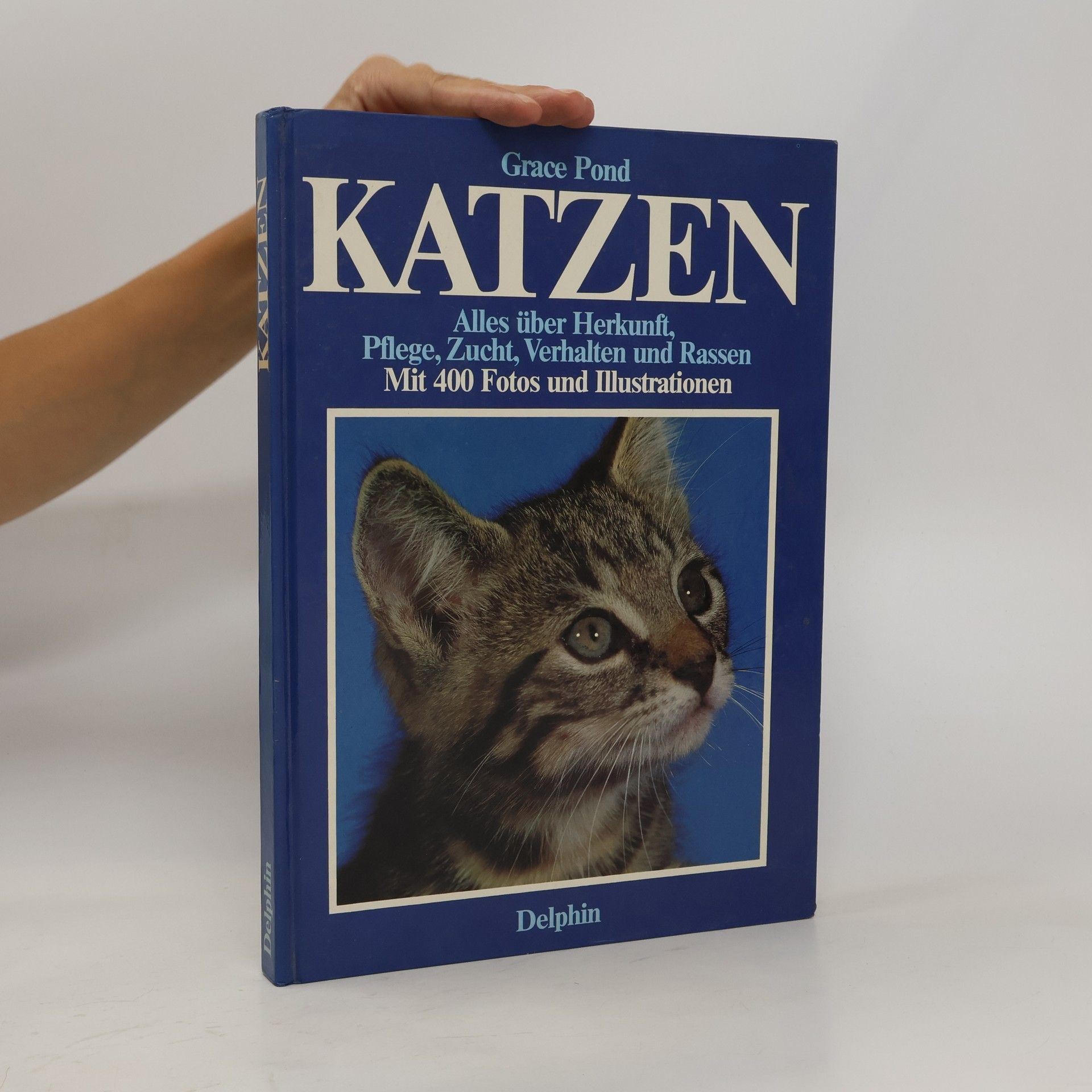 Grace Pond Katzen
