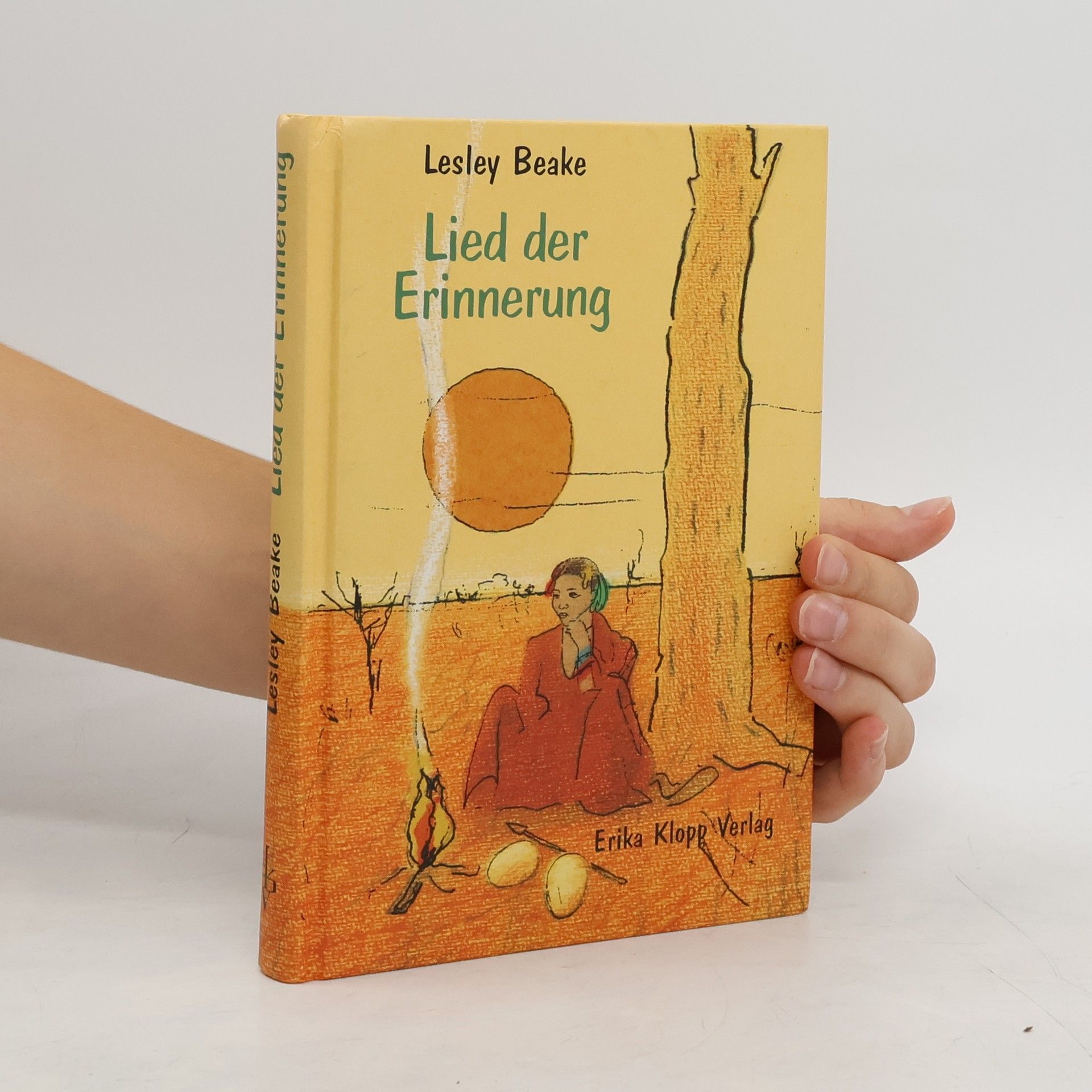 Lesley Beake Lied der Erinnerung