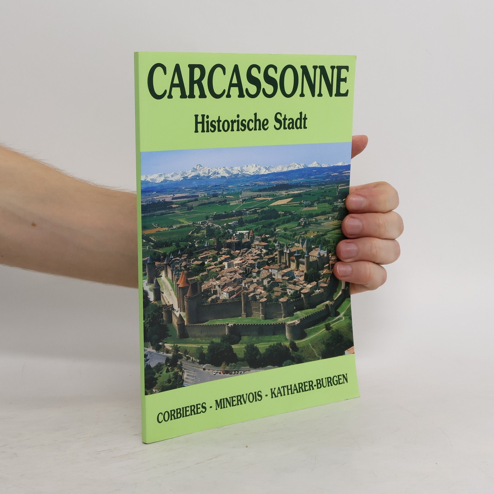 Autorenkollektiv Carcassonne