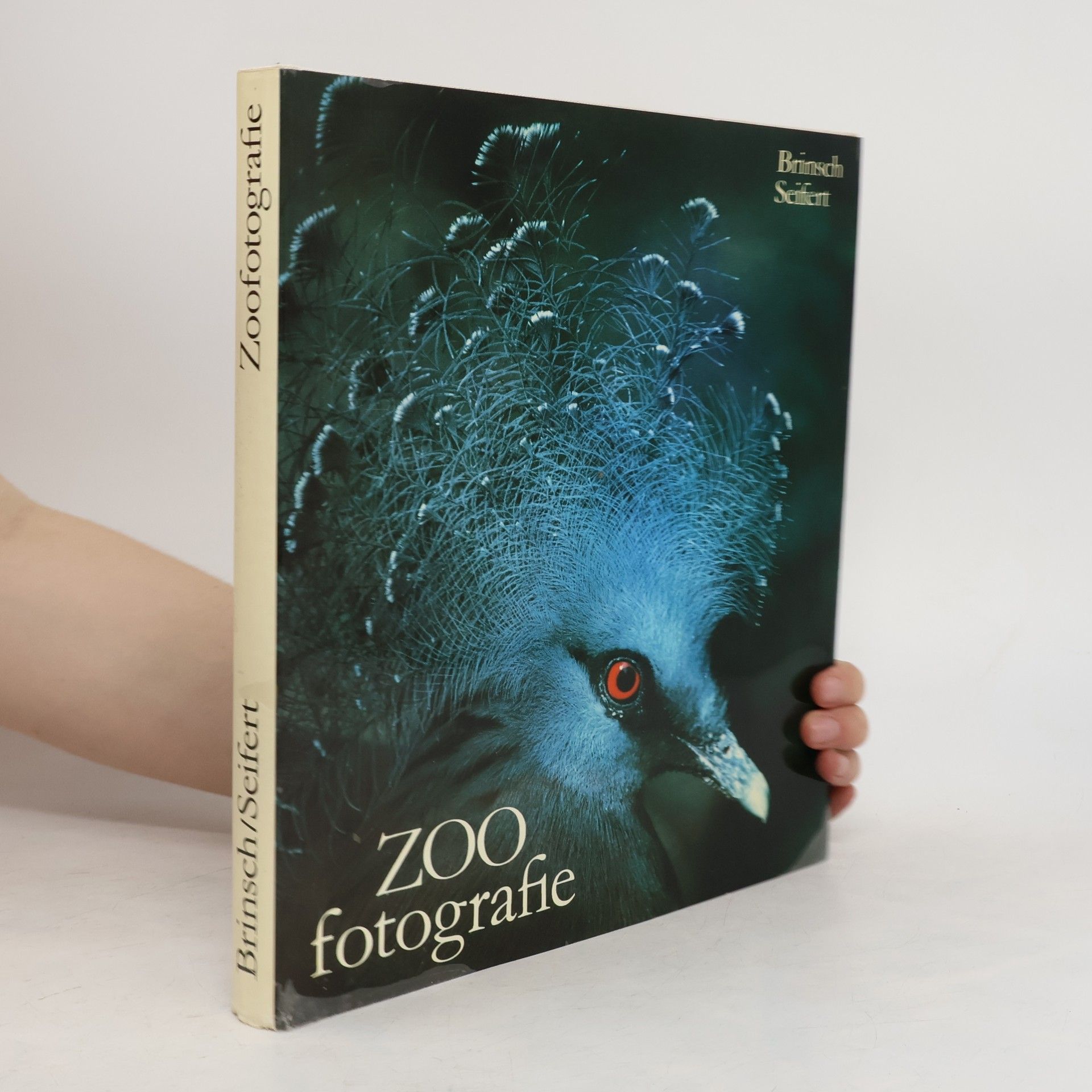 Siegfried Seifert ZOO Fotografie