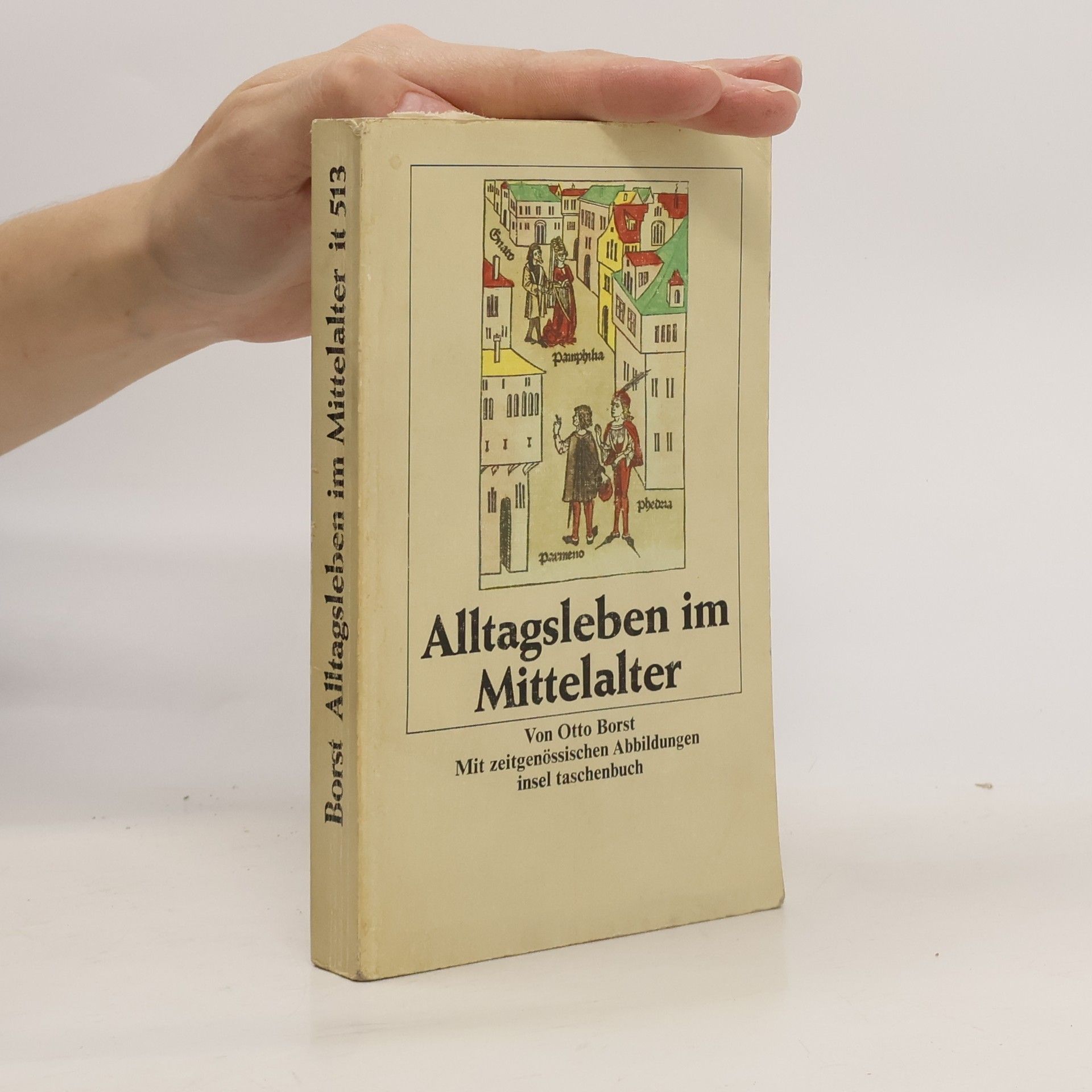 Otto Borst Alltagsleben im Mittelalter