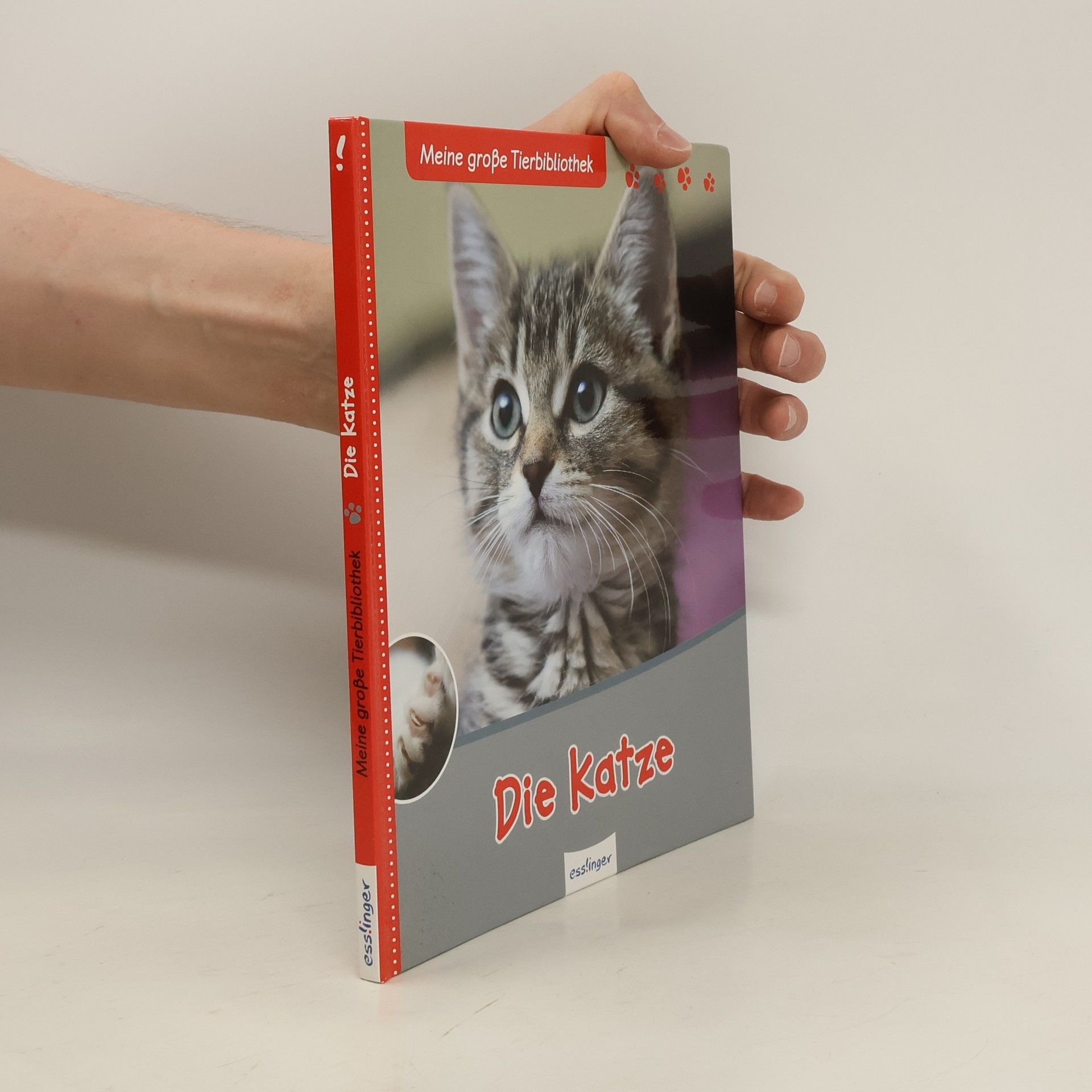 Stéphane Frattini Die Katze