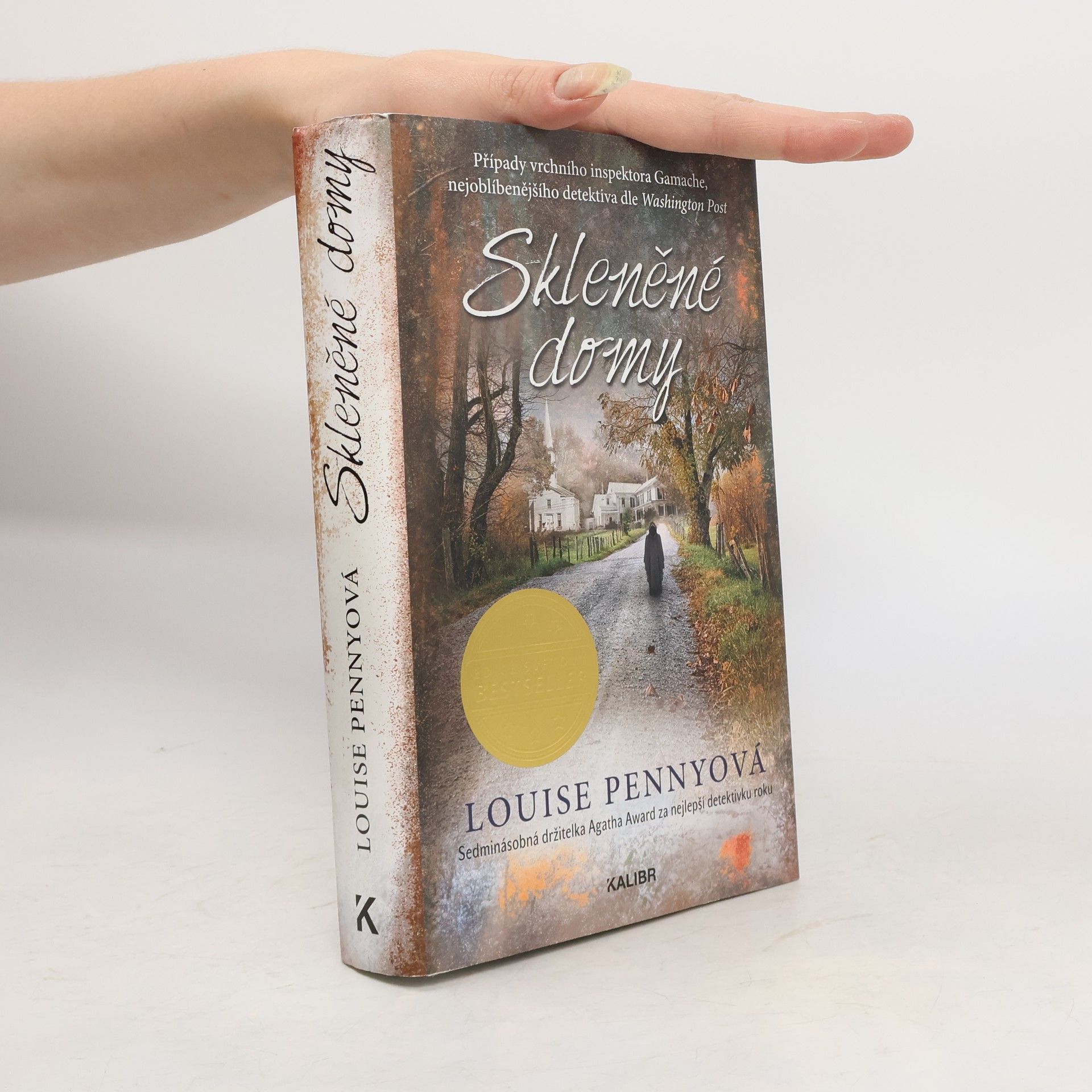 Louise Penny Skleněné domy : případy vrchního inspektora Gamache