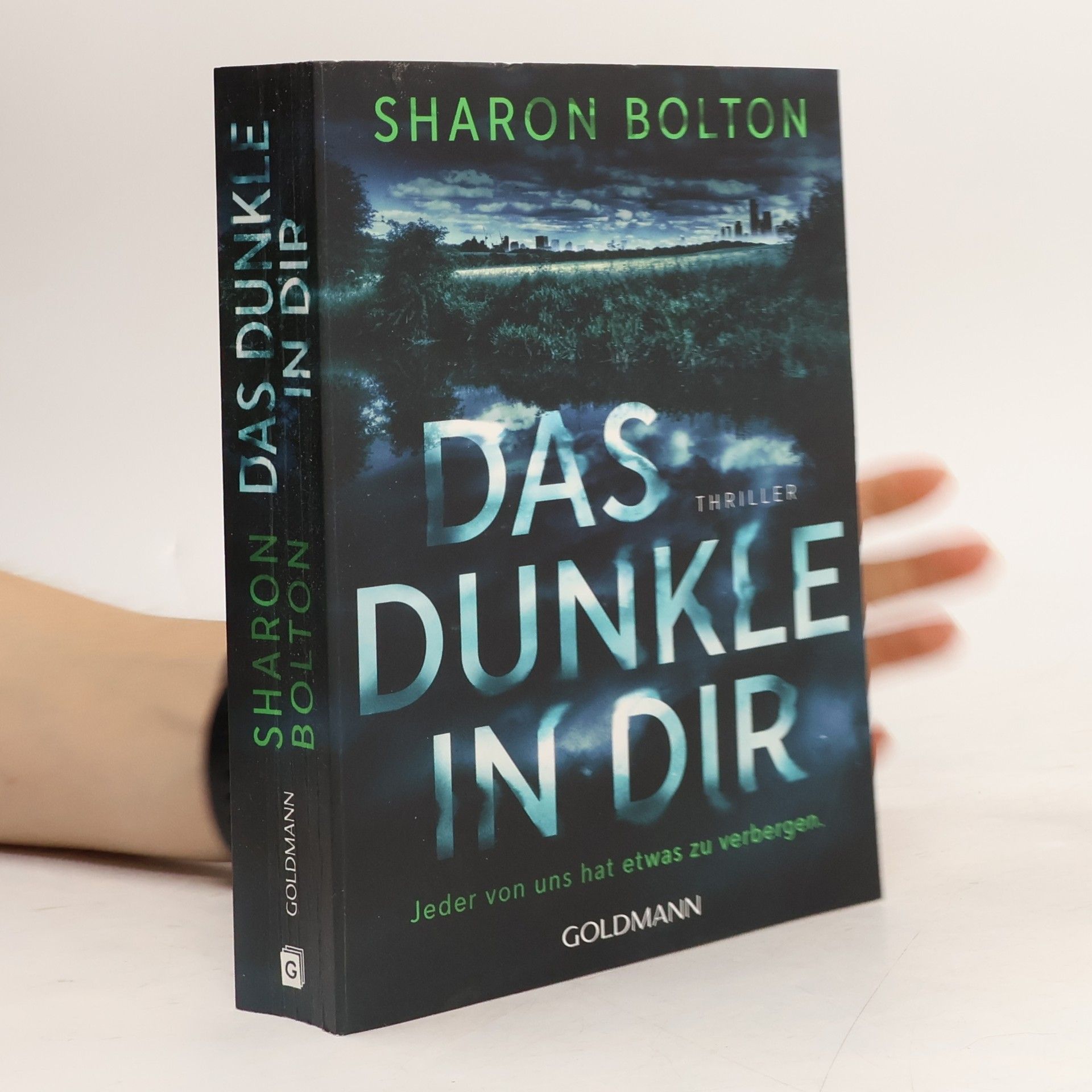 S. J. Bolton Das Dunkle in dir