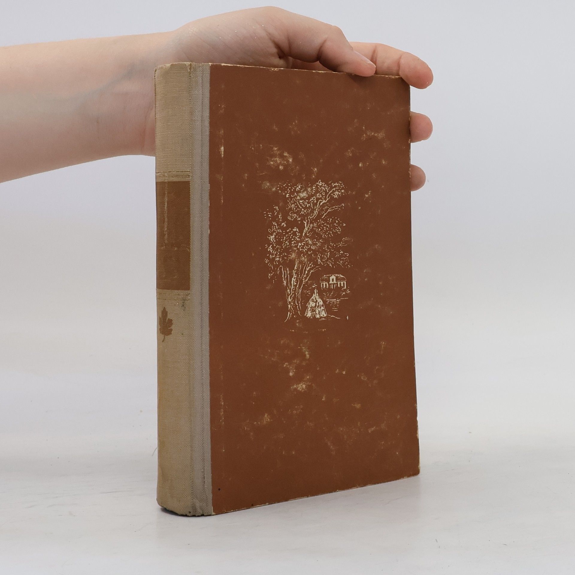 Theodor Storm Ein Blatt aus Sommerlichen Tagen