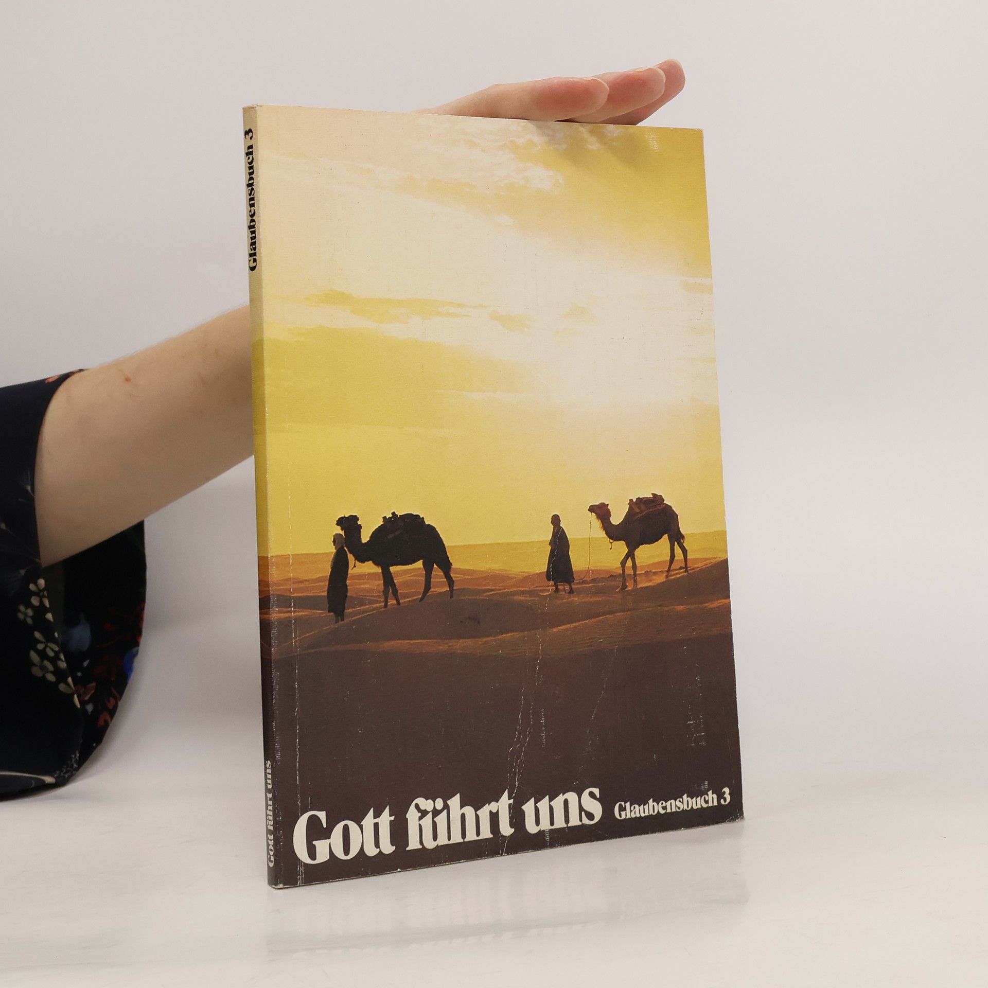 Albert Höfer Gott führt uns