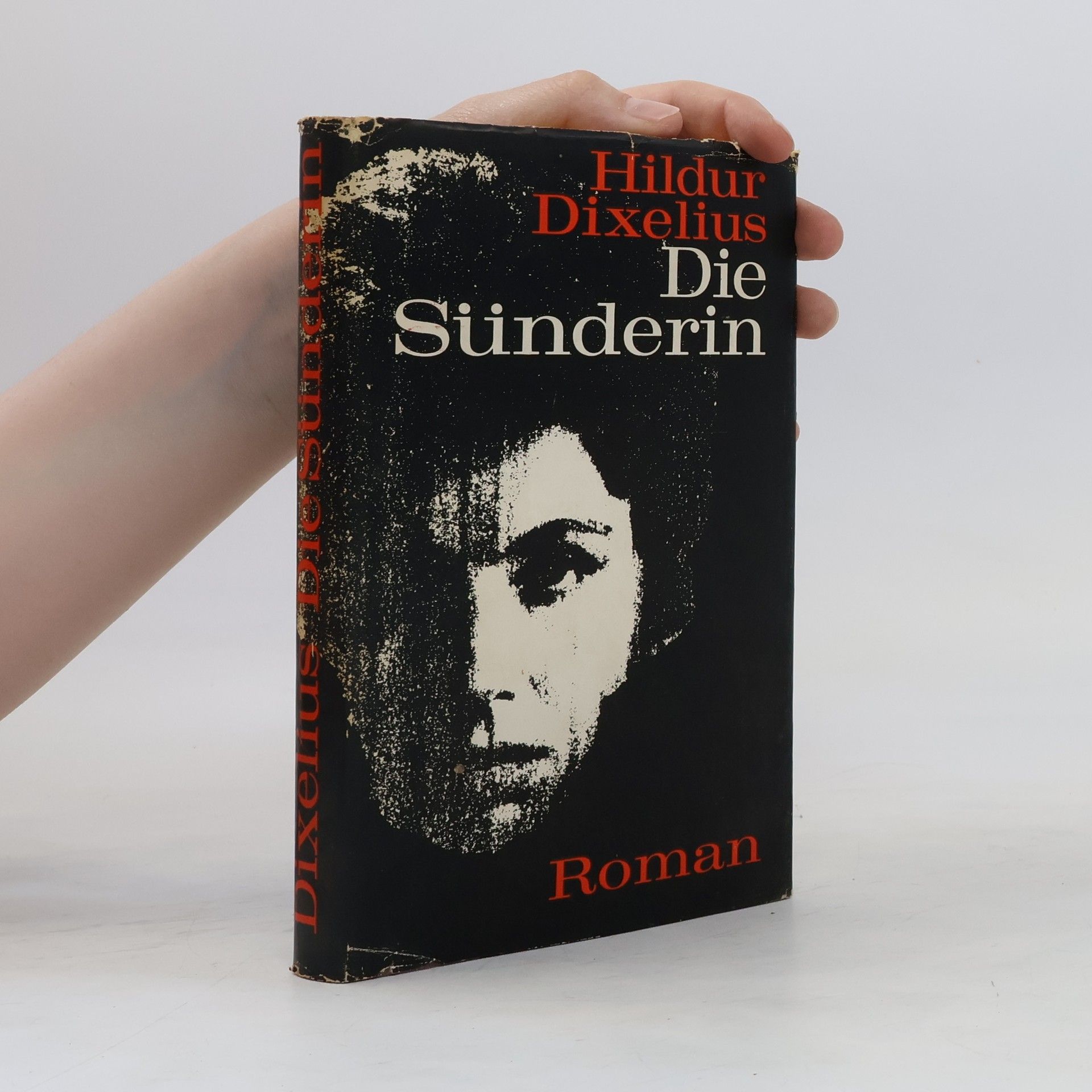 Hildur Dixelius Die Sünderin
