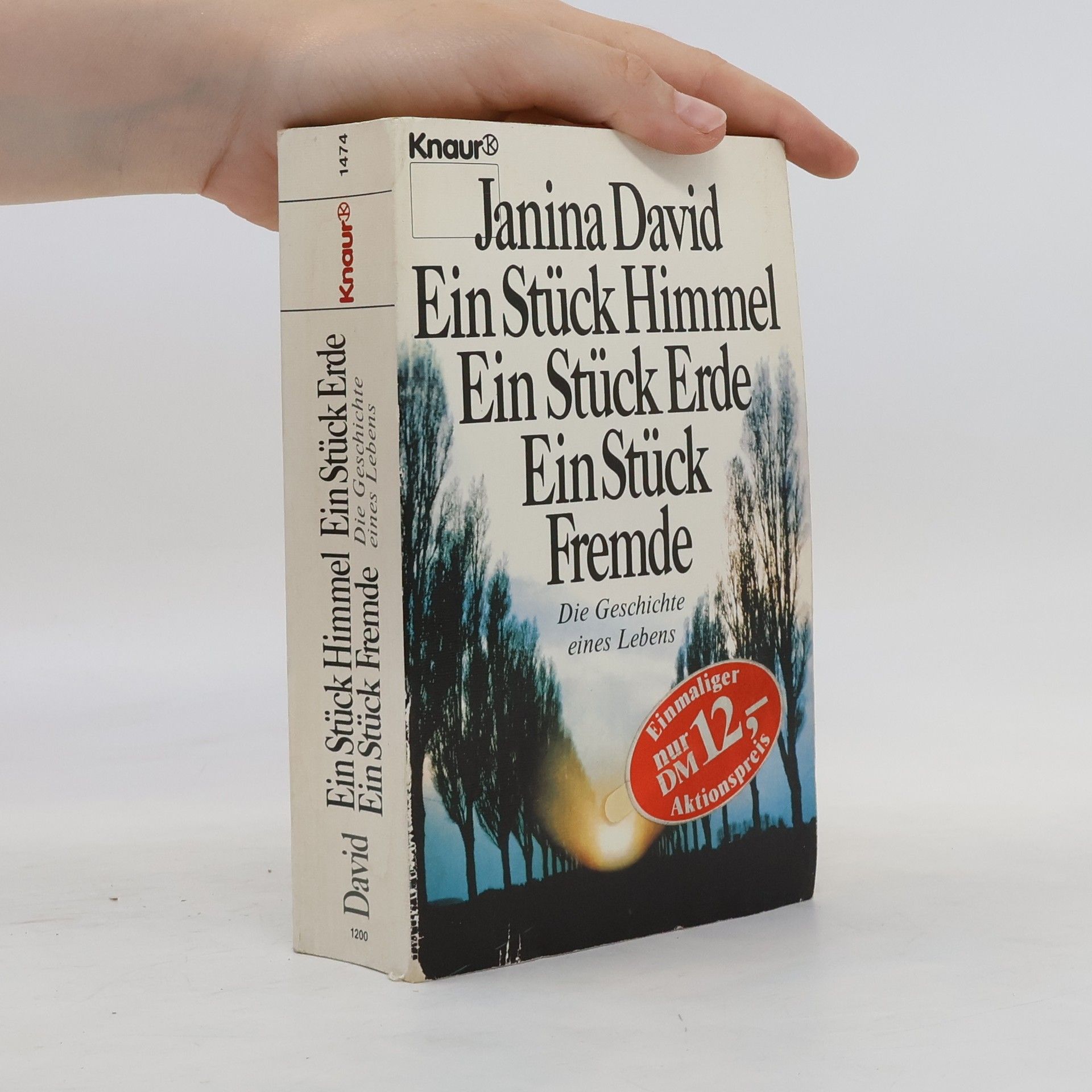 Janina David Ein Stück Himmel