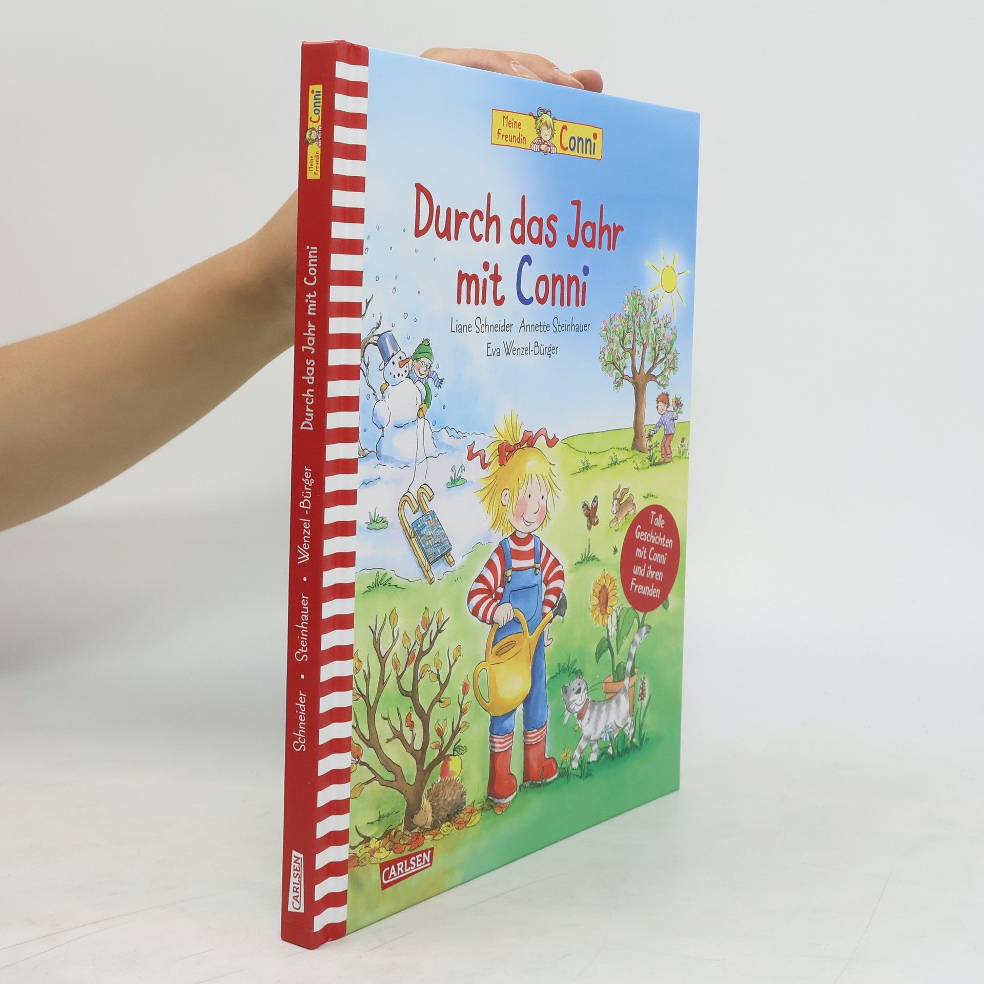 Lianne Schneider Durch das Jahr mit Conni