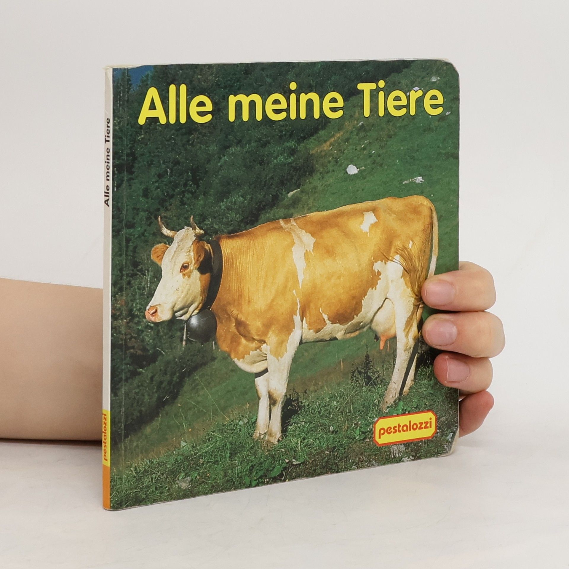 kolektiv Spiel mit uns!