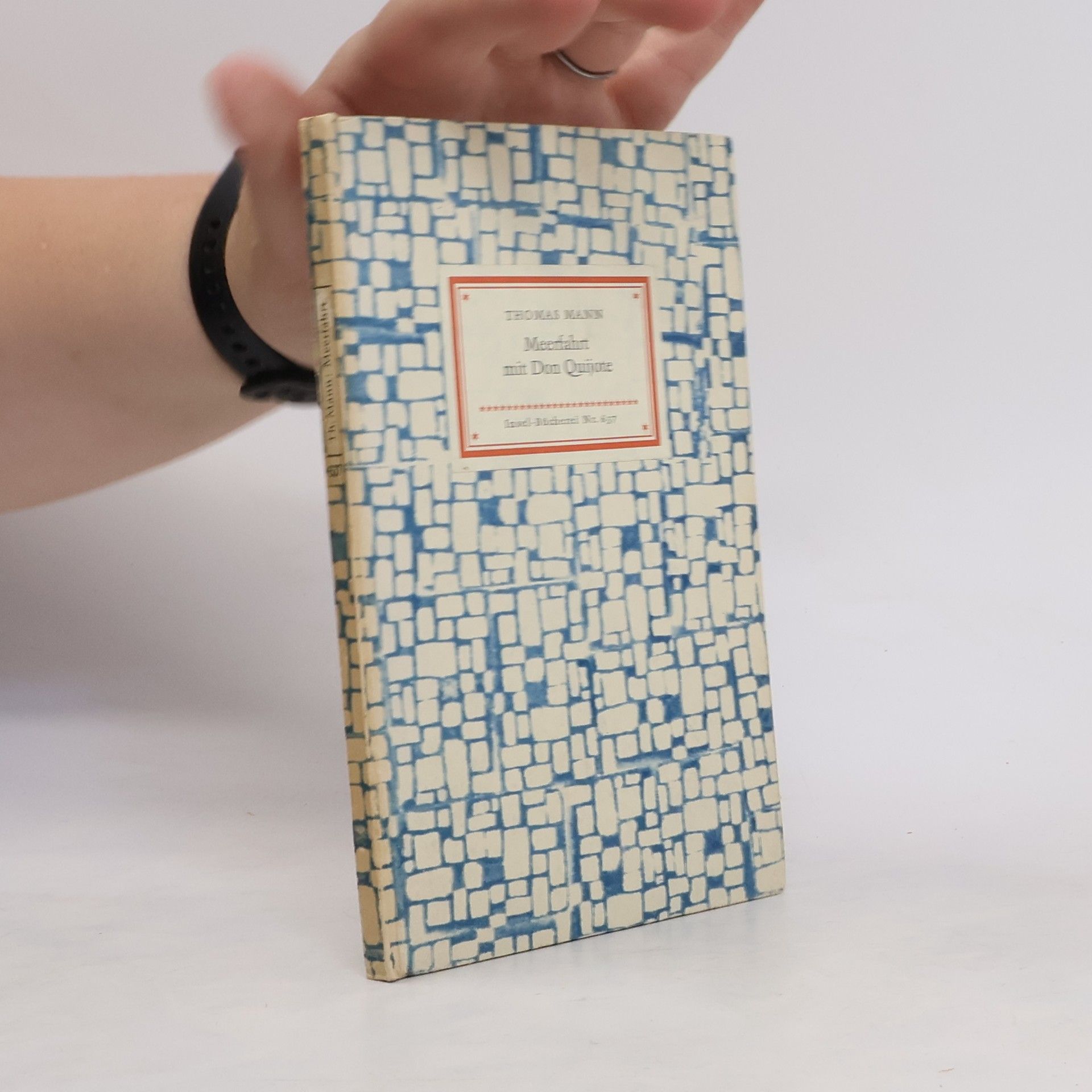 Thomas Mann Meerfahrt mit Don Quijote