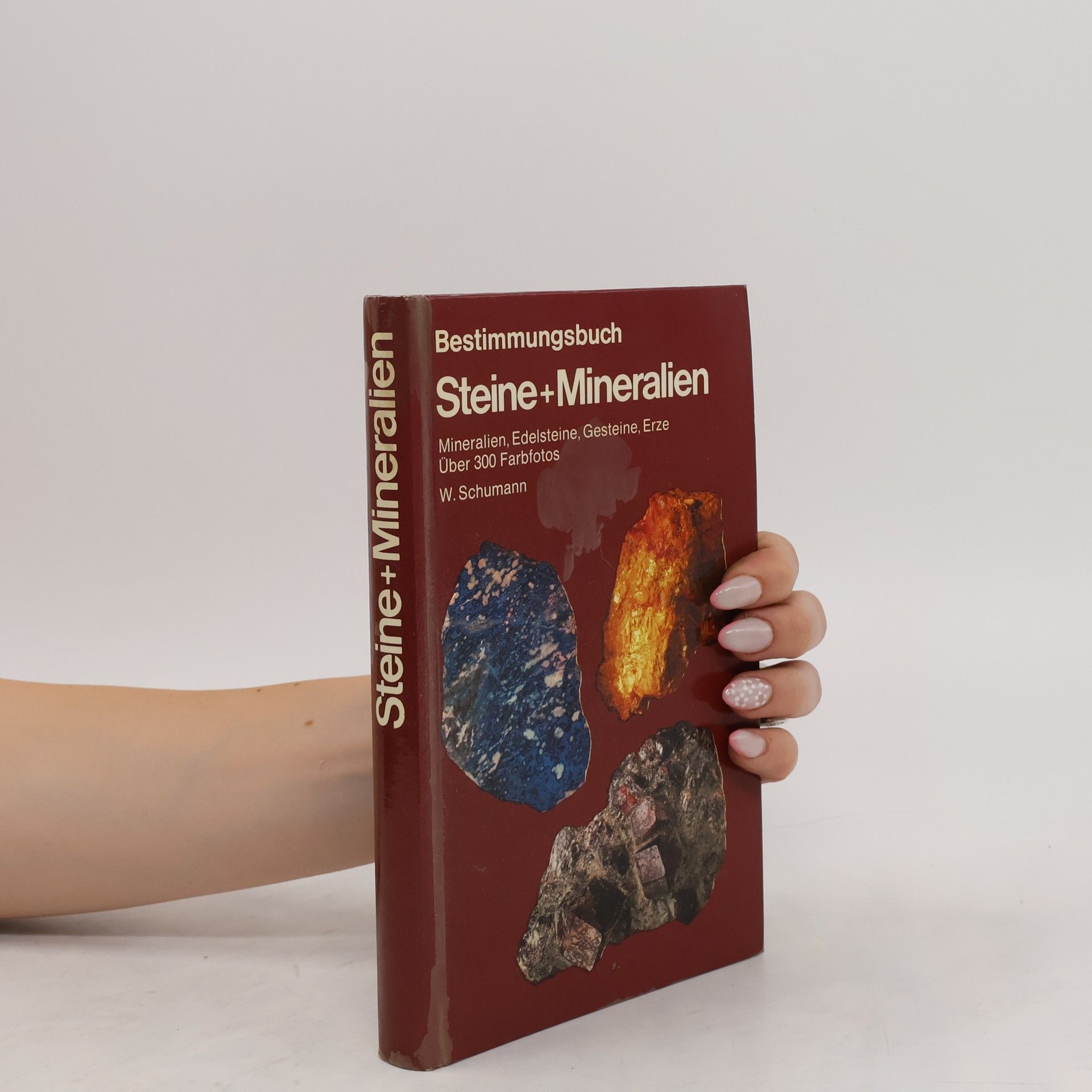 AA.VV. Steine + Mineralien