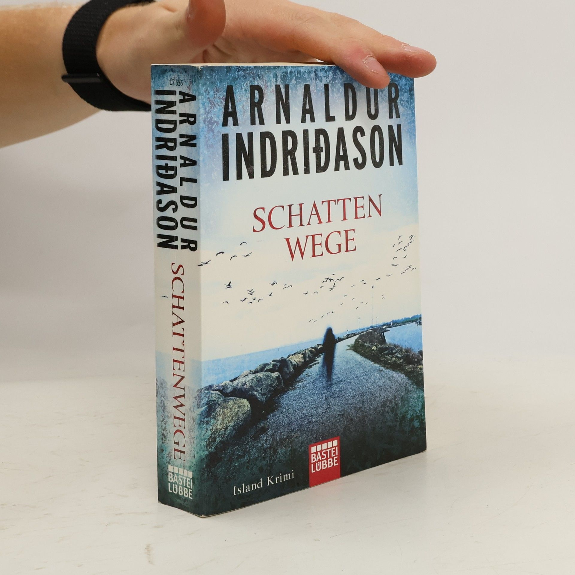 Arnaldur Indriðason Schattenwege