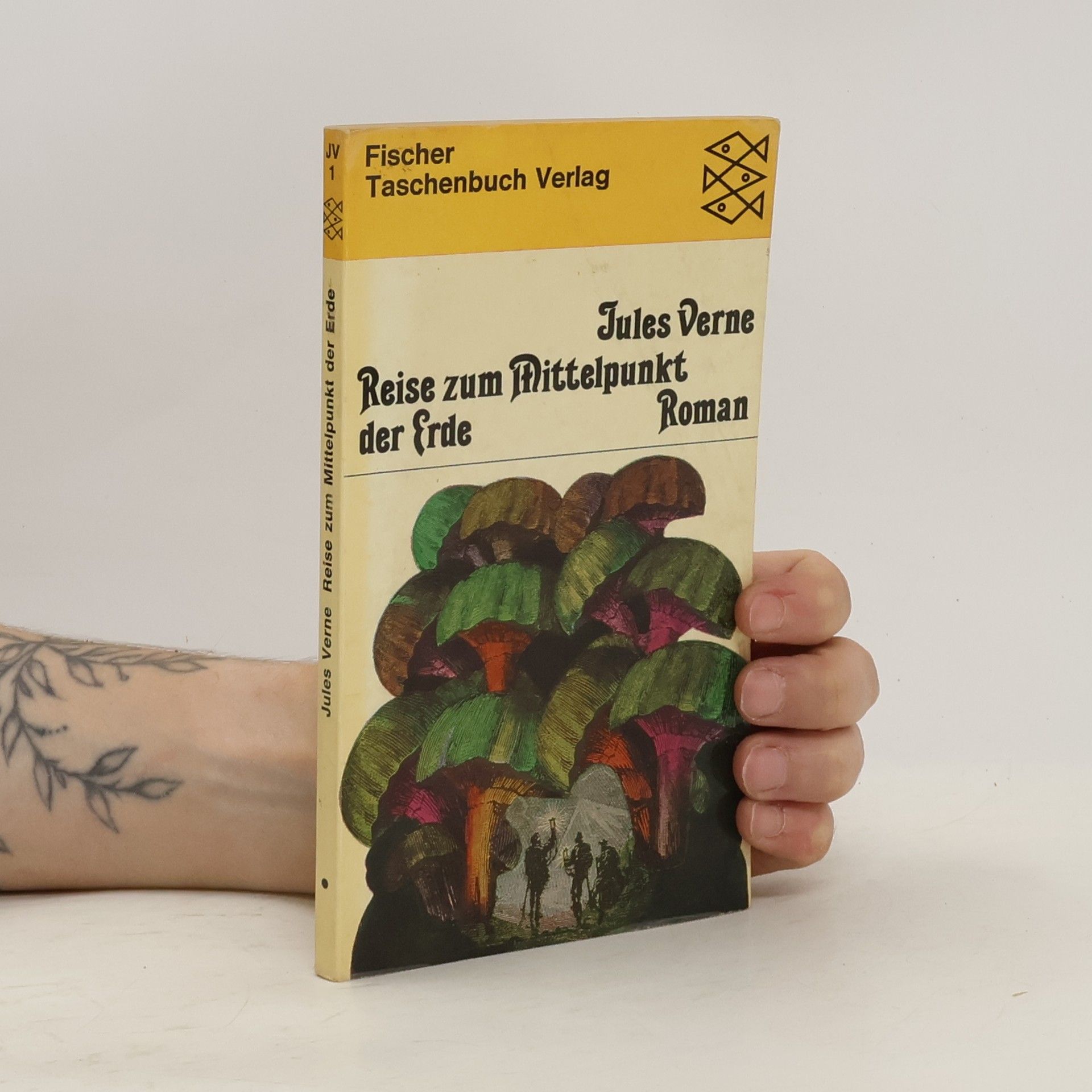 Jules Verne Reise zum Mittelpunkt der Erde