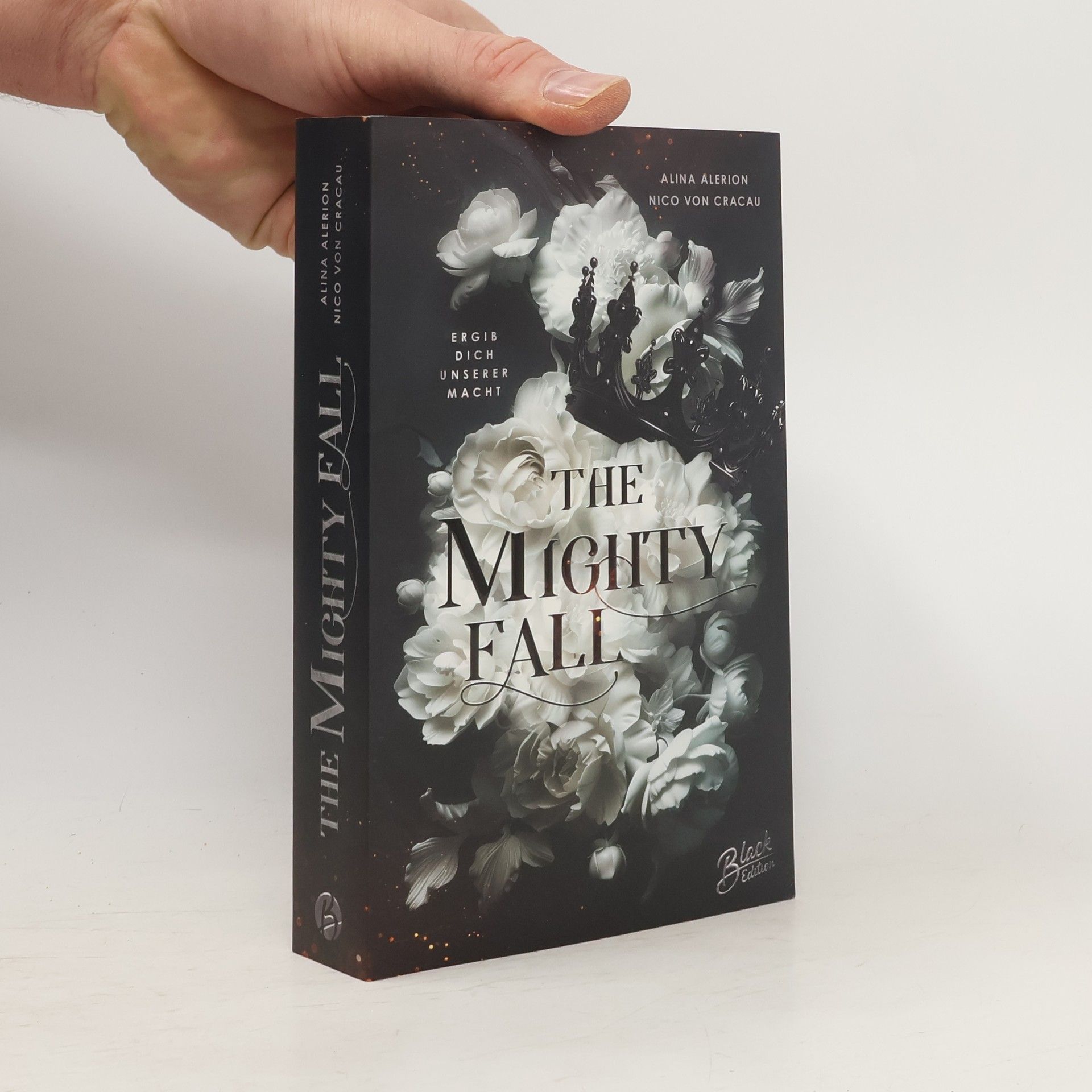 Alina Alerion The Mighty Fall