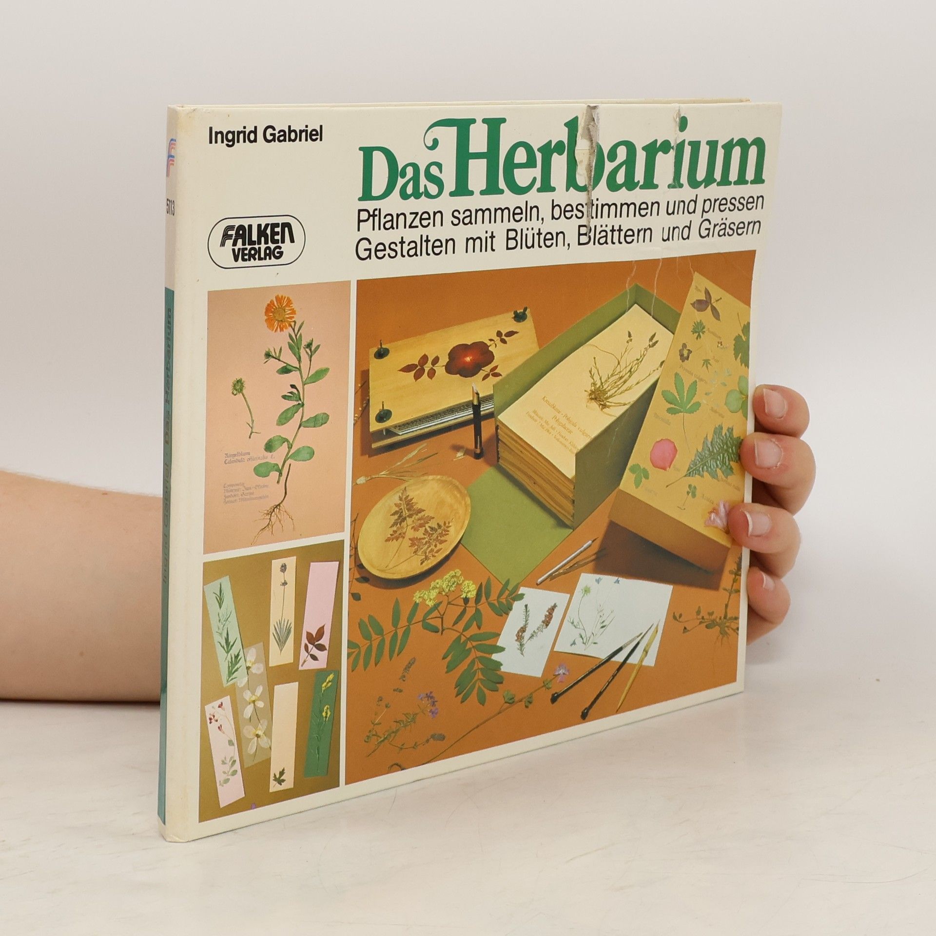 Ingrid Gabriel Das Herbarium