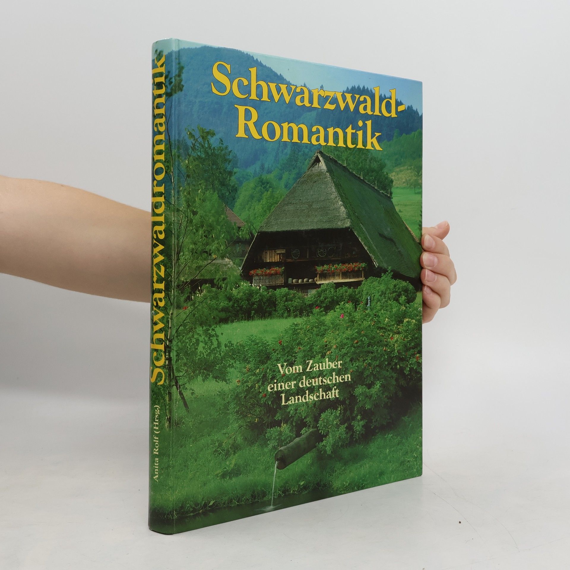 Collectif d'auteurs Schwarzwald-Romantik. Vom Zauber einer deutschen Landschaft