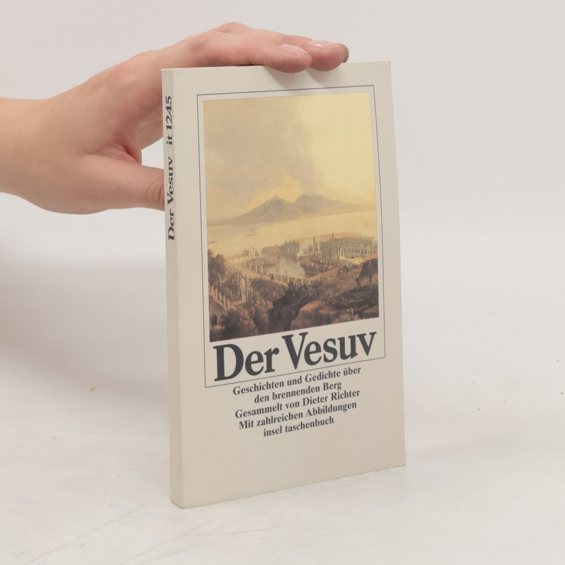 Dieter Richter Der Vesuv