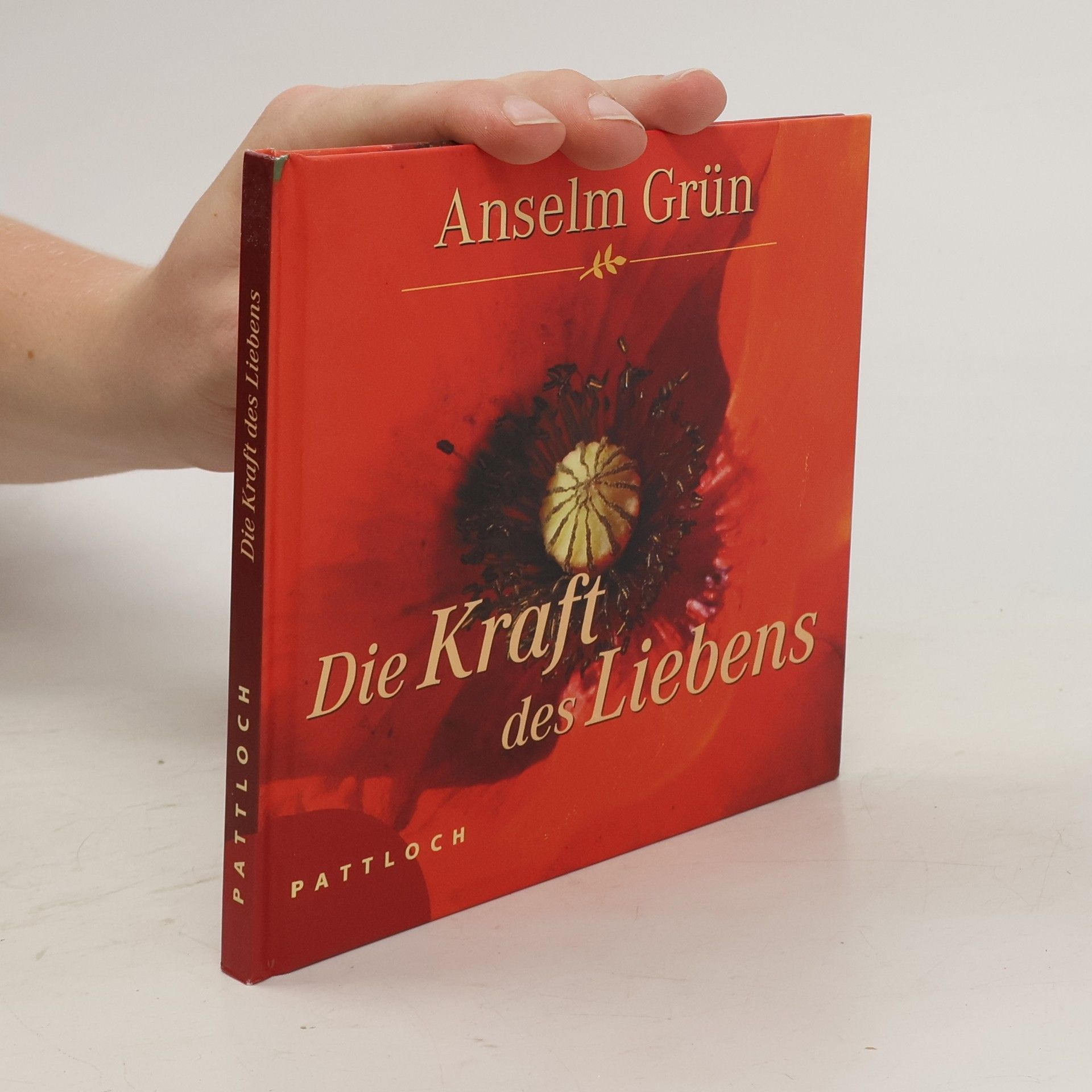 Anselm Grün Die Kraft des Liebens