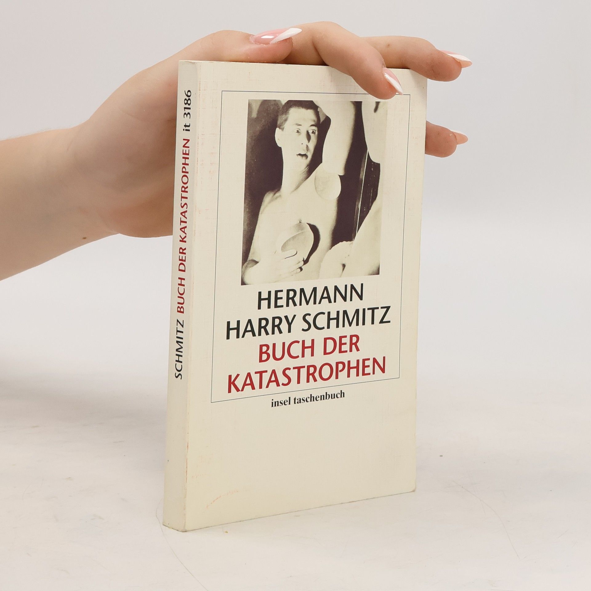 Hermann Harry Schmitz Buch der Katastrophen