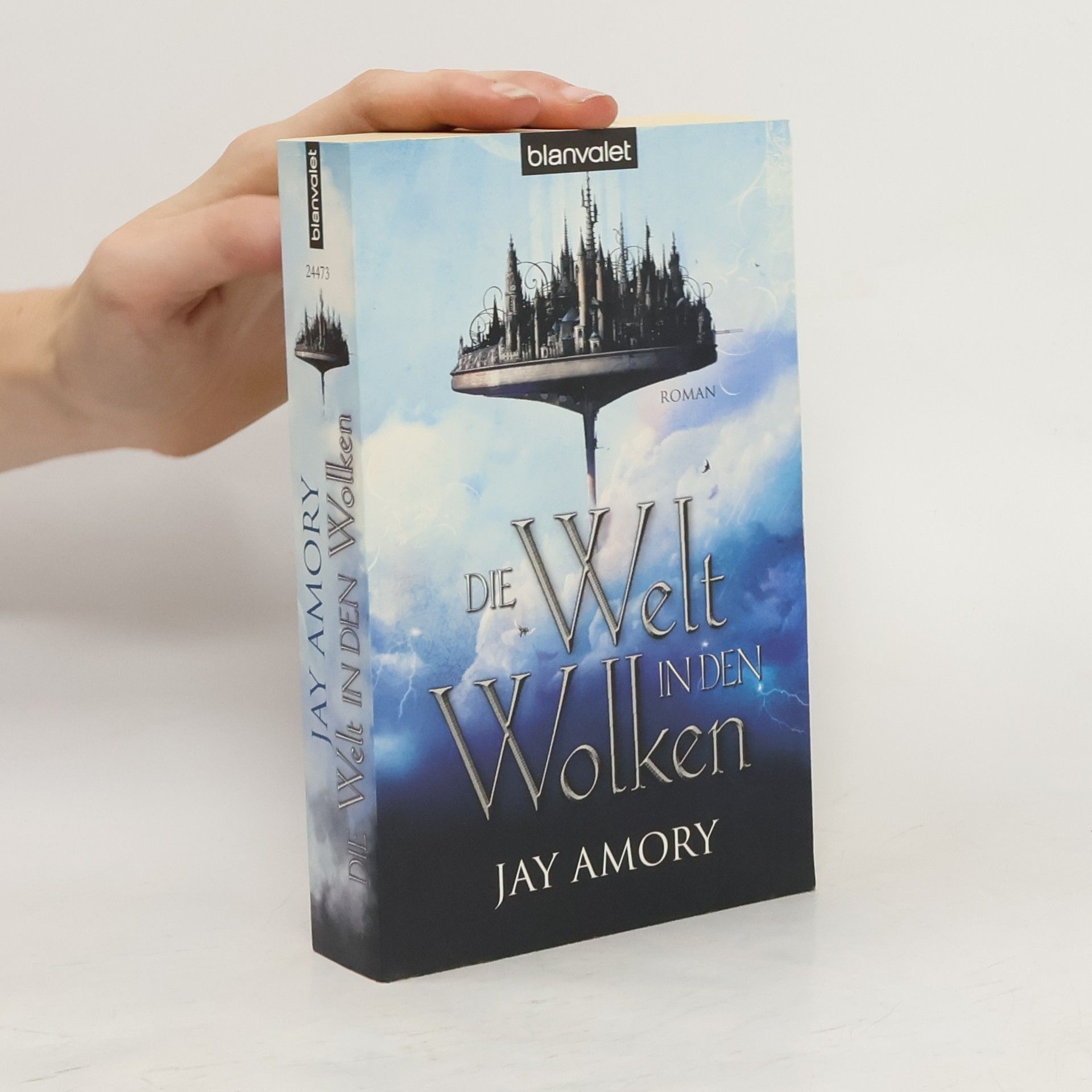 Jay Amory Die Welt in den Wolken