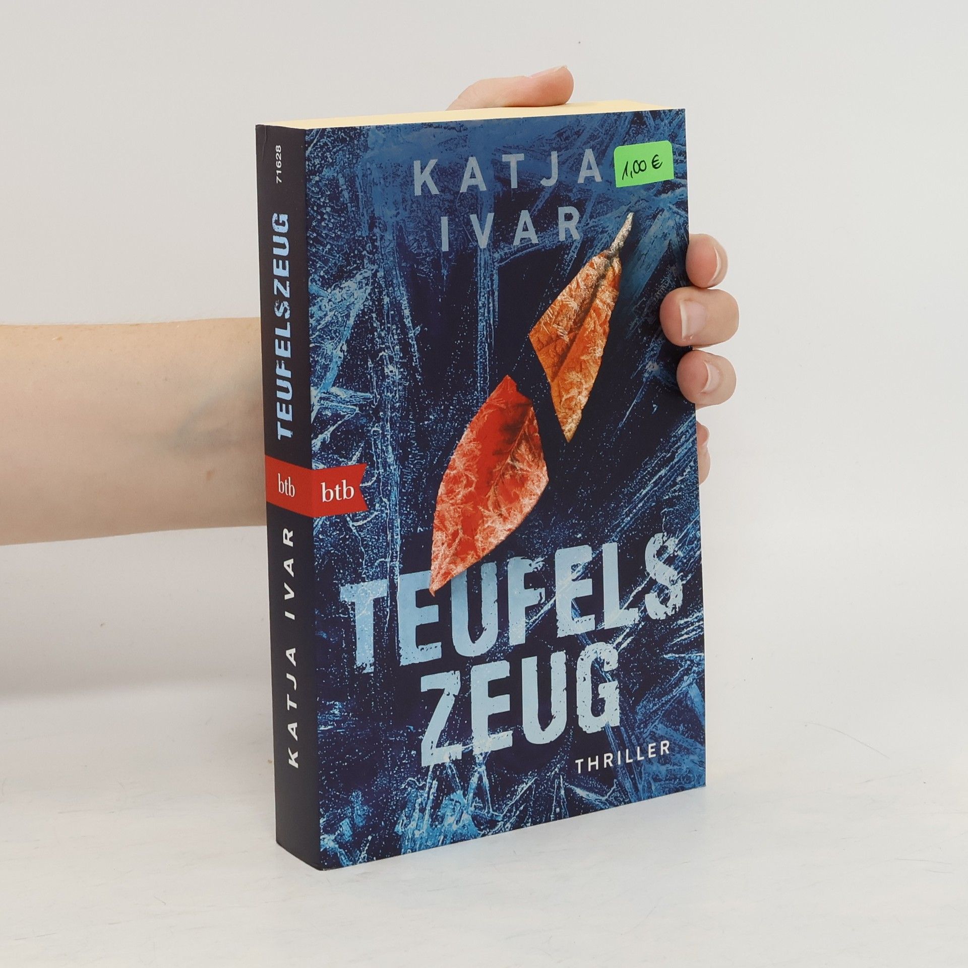 Katja Ivar Teufelszeug