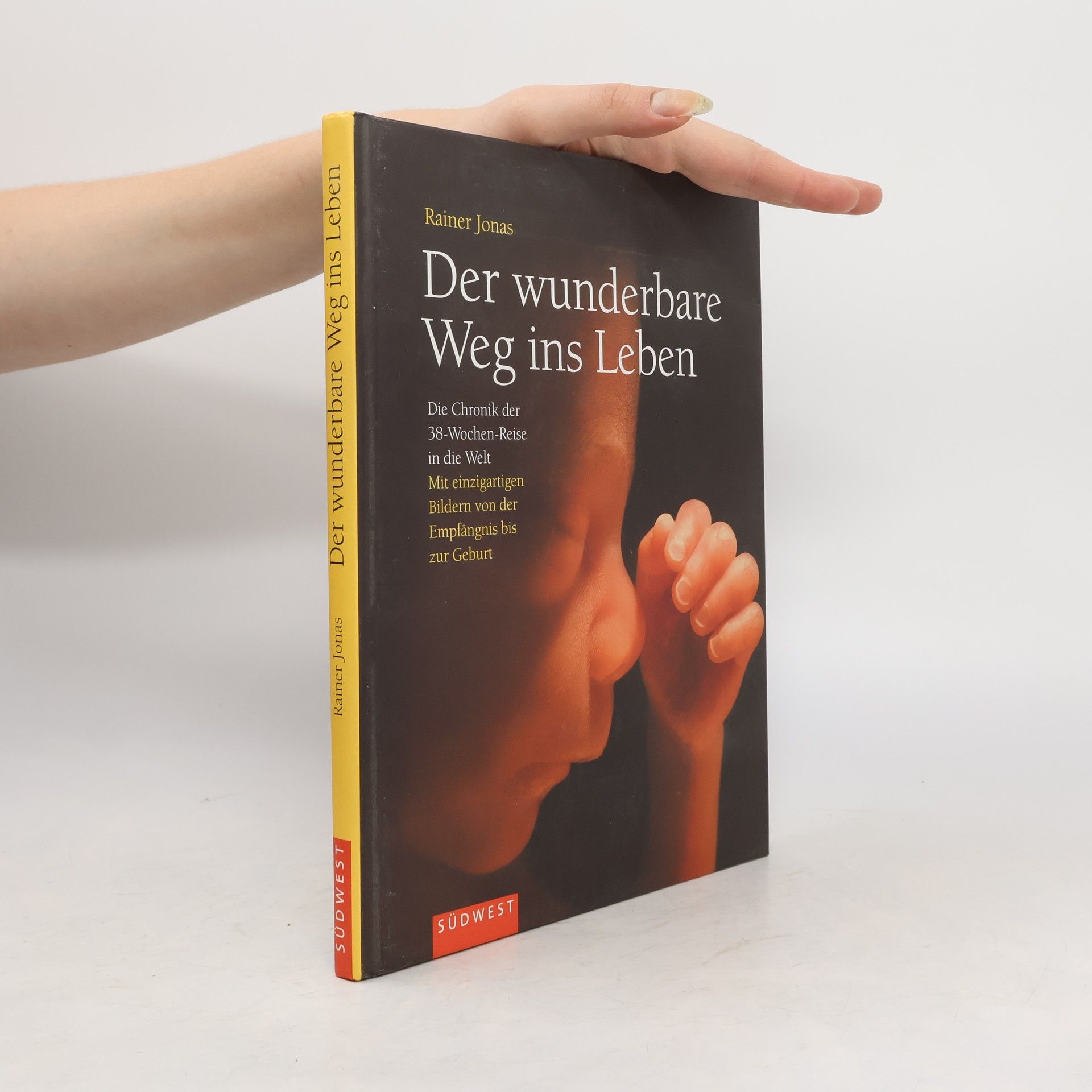 Rainer Jonas Der wunderbare Weg ins Leben