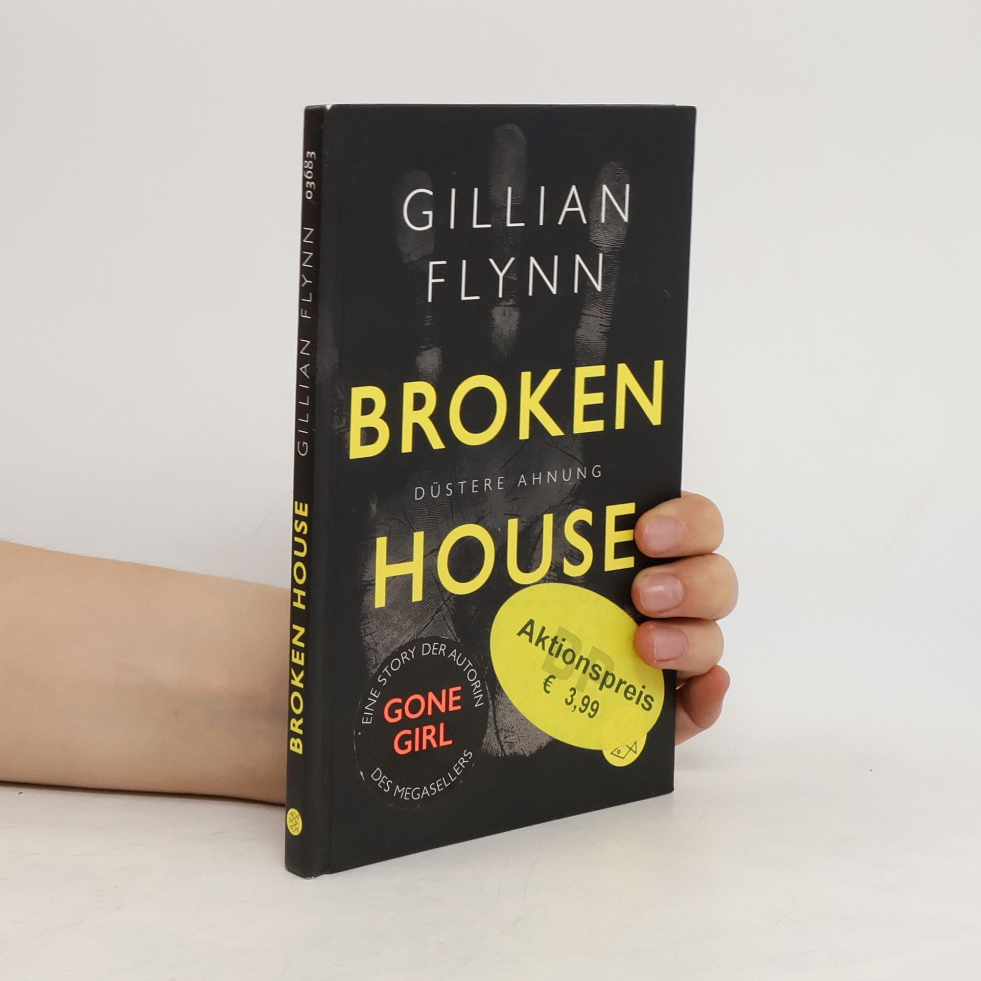 Gillian Flynn Broken House