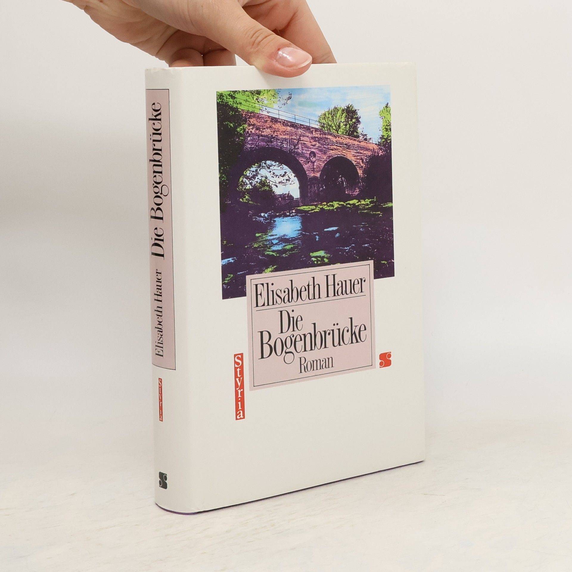 Elisabeth Hauer Die Bogenbrücke
