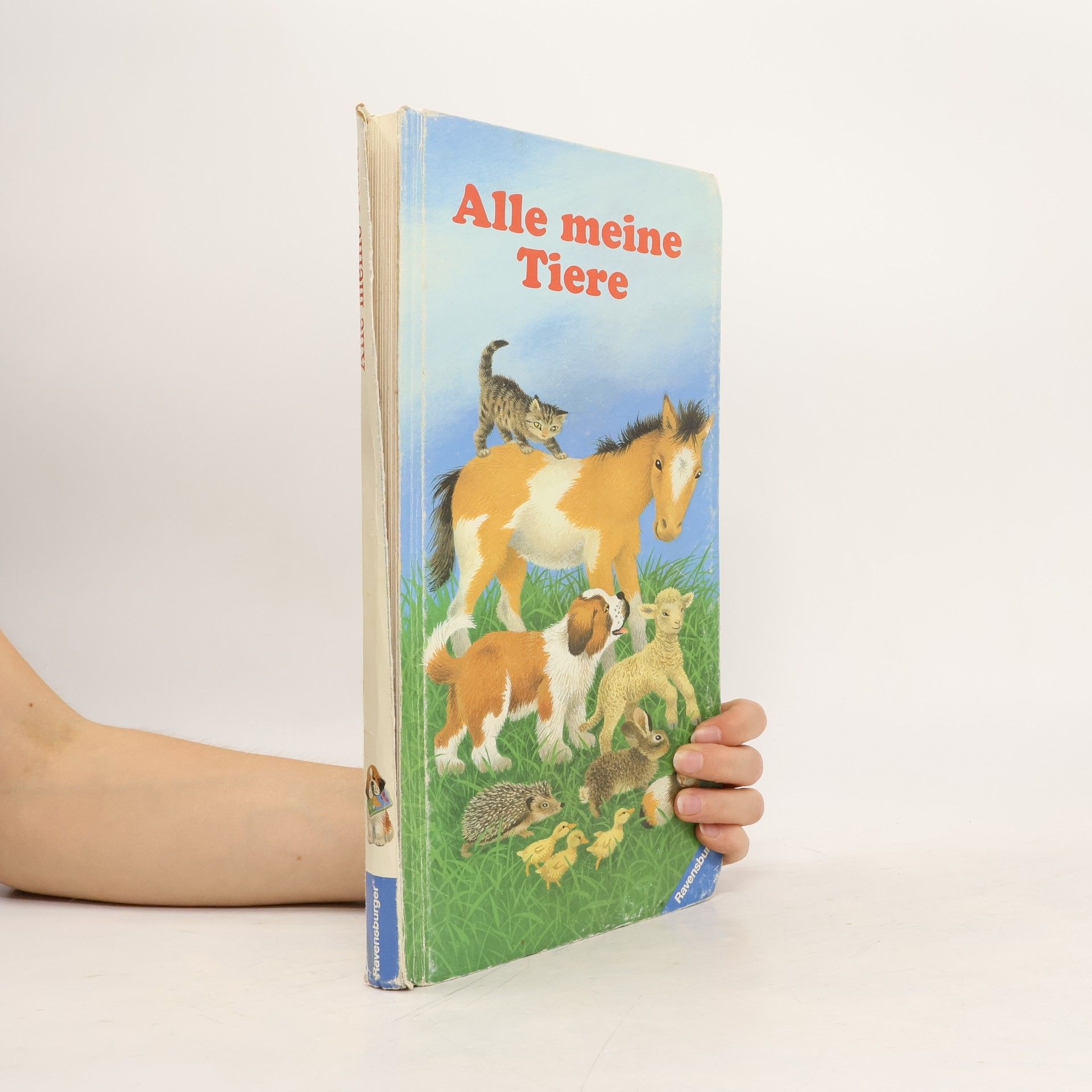 Amrei Fechner Alle meine Tiere