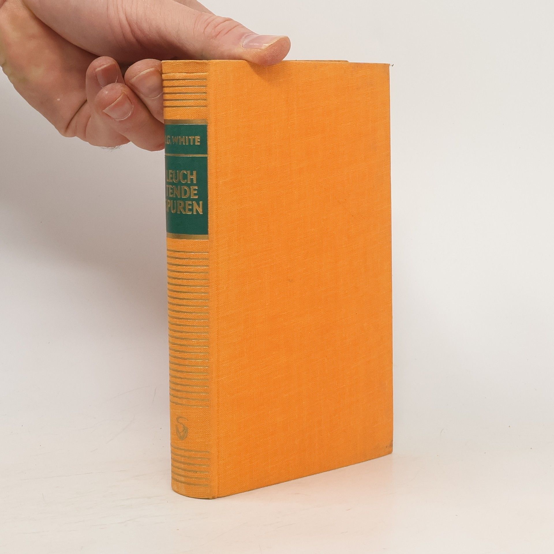 Ellen G. White Leuchtende Spuren