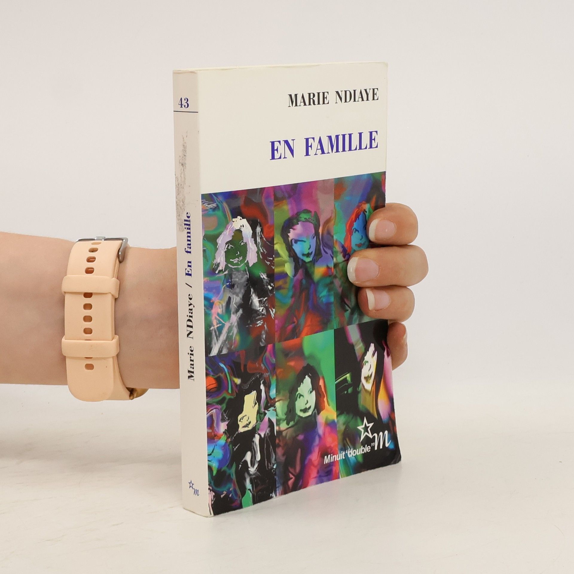 Marie NDiaye En famille