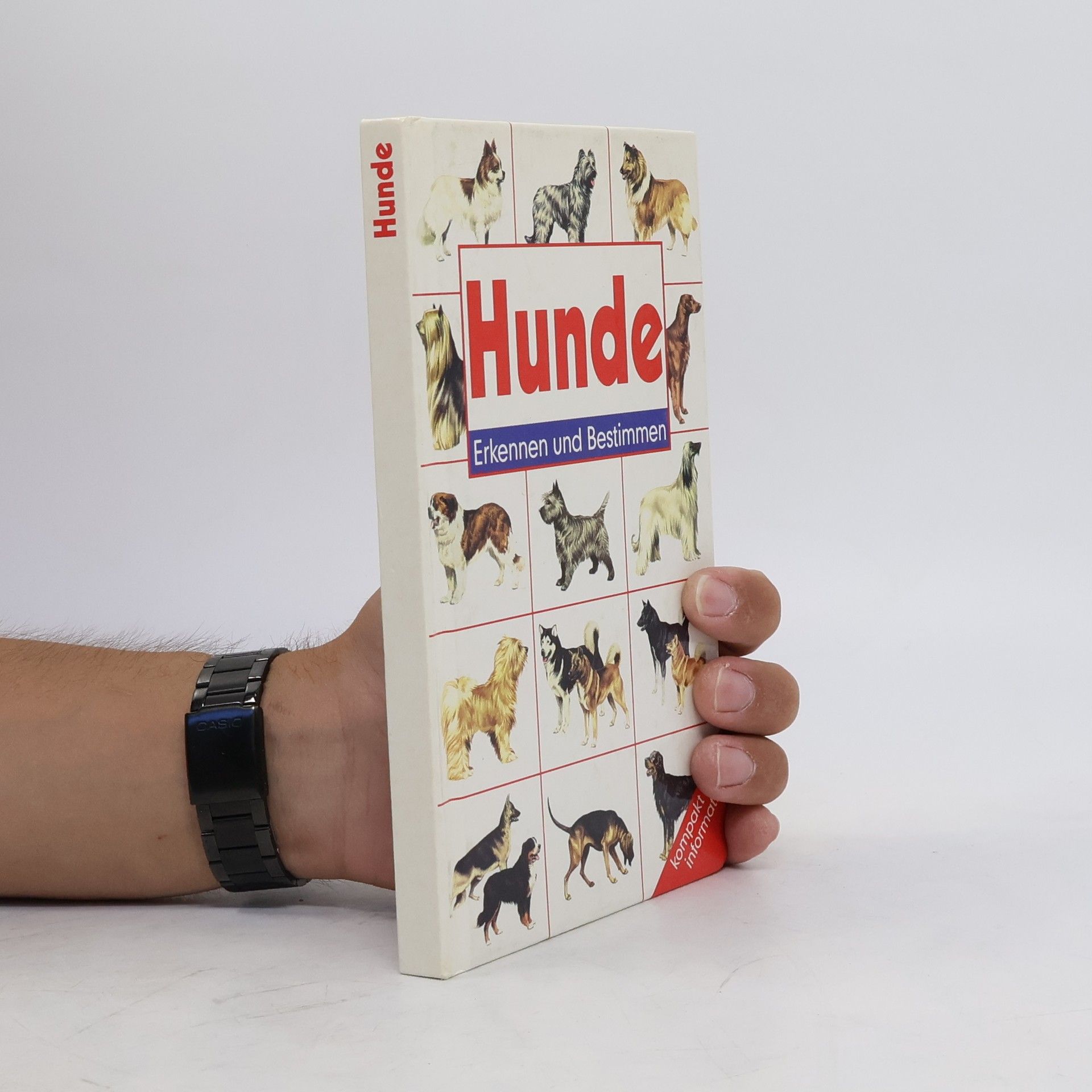 Wendy Boorer Hunde