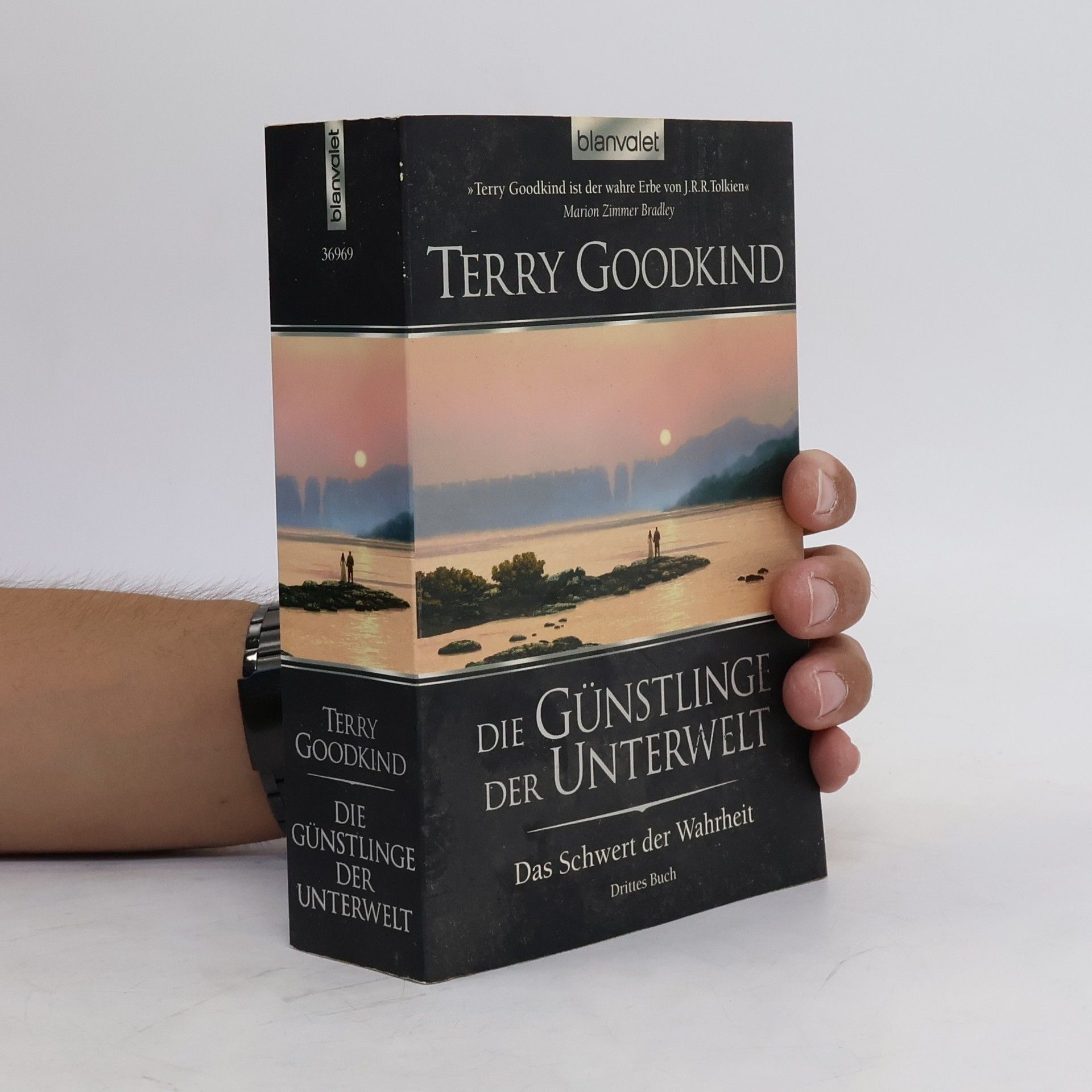 Terry Goodkind Das Schwert der Wahrheit. Die Günstlinge der Unterwelt