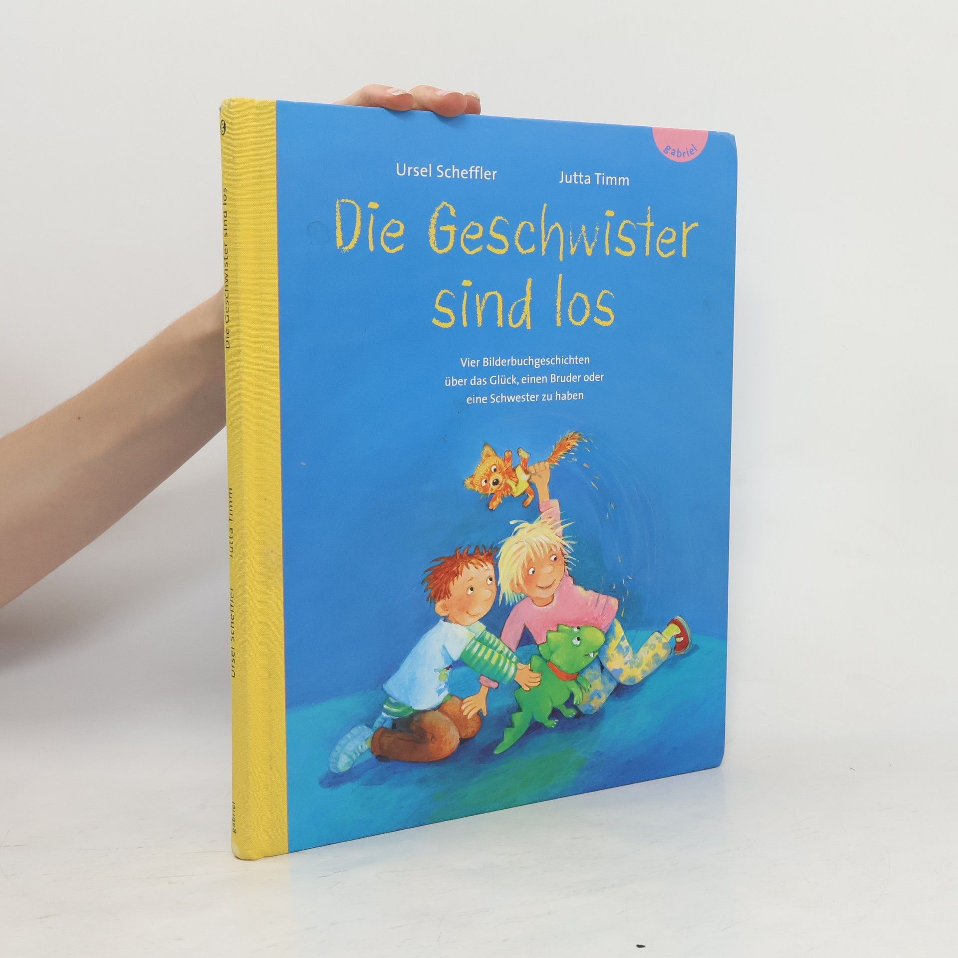 Ursel Scheffler Die Geschwister sind los