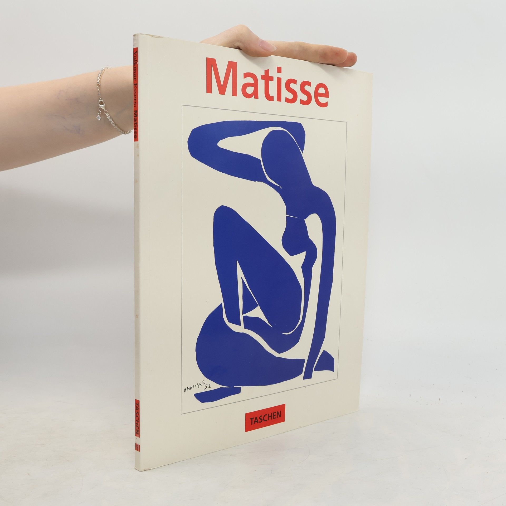 Henri Matisse Meister der Farbe