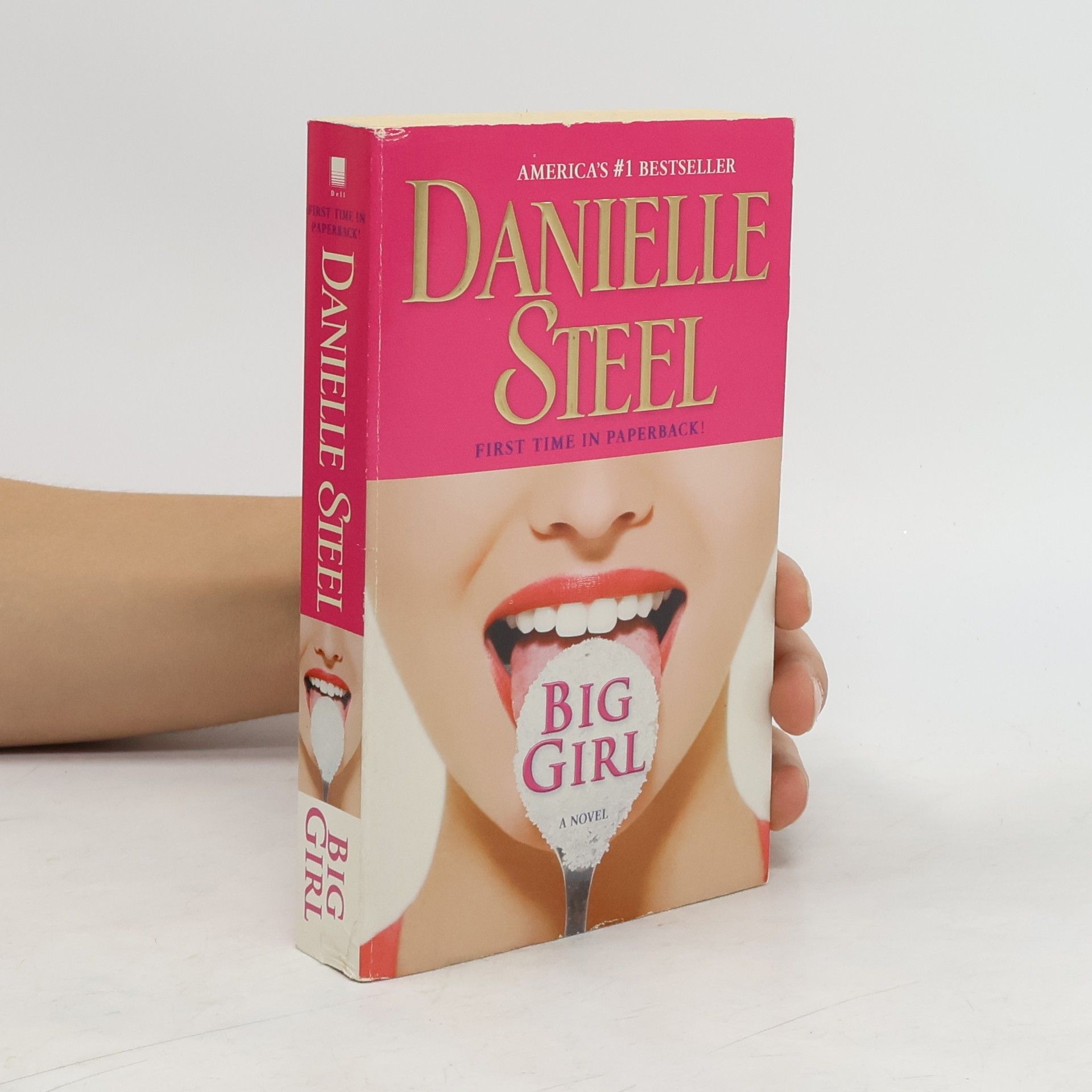 Danielle Steel Big Girl