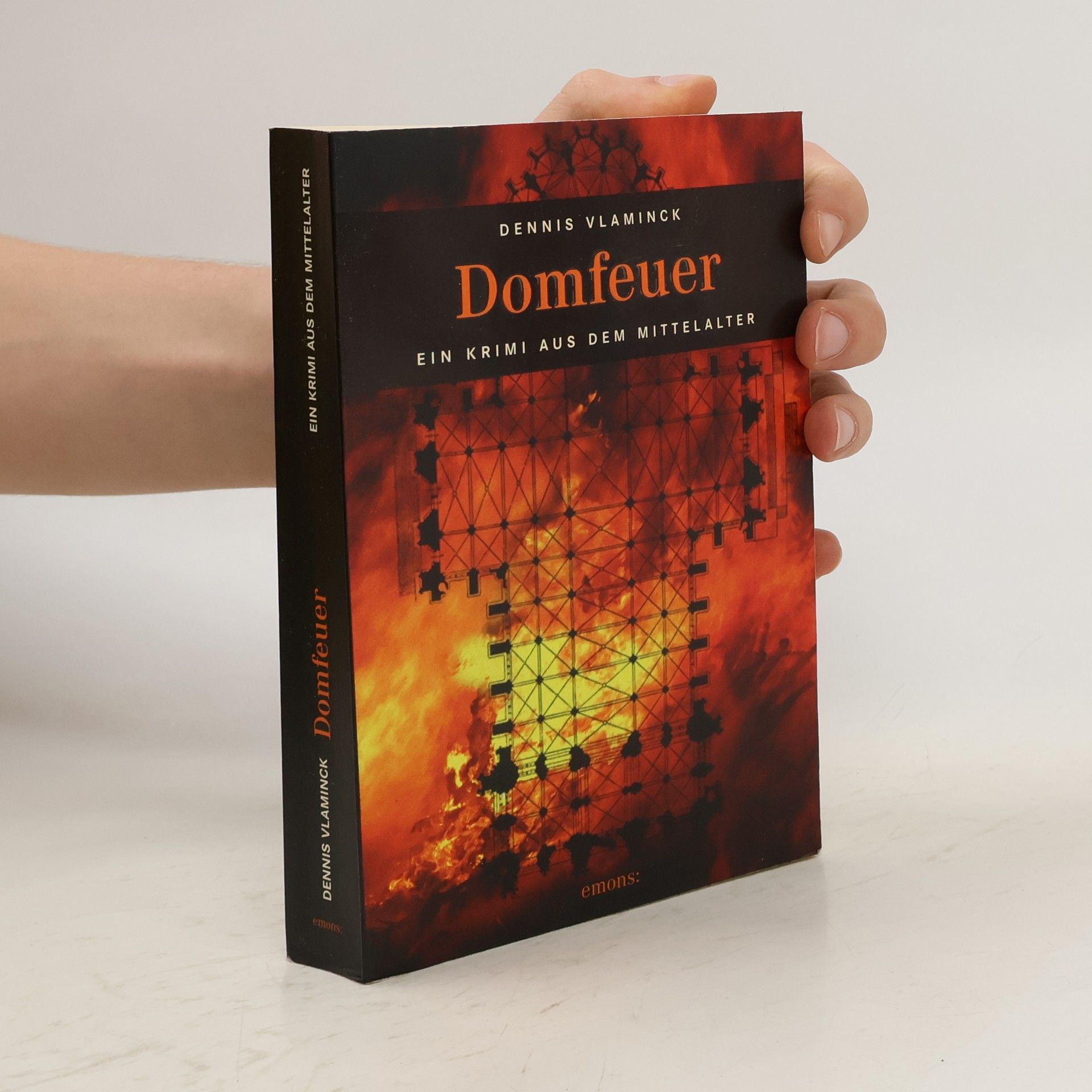 Dennis Vlaminck Domfeuer