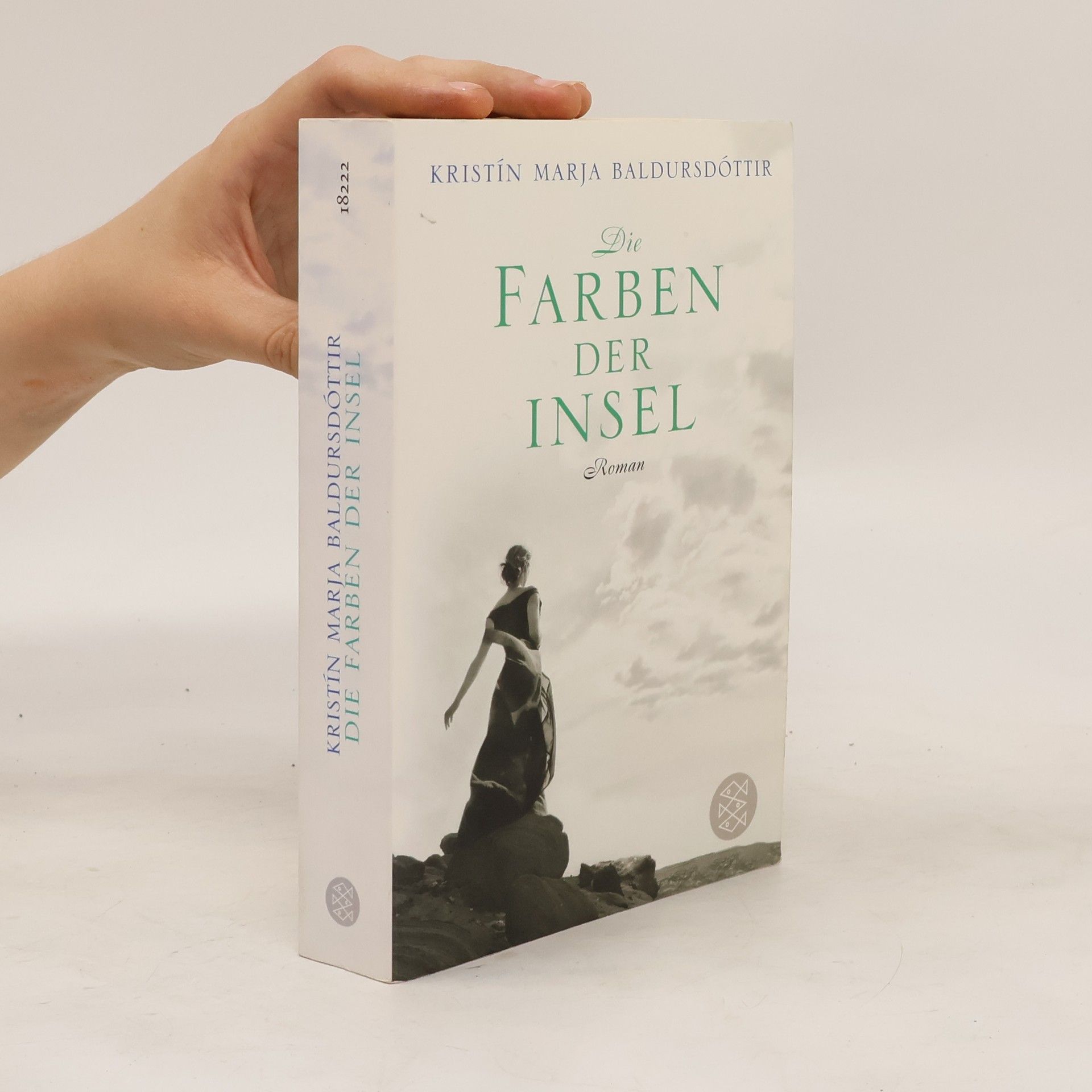 Kristín Marja Baldursdóttir Die Farben der Insel