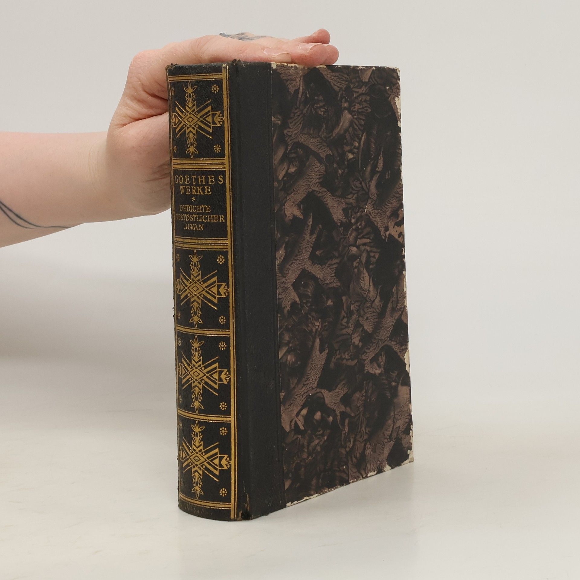 Johann Wolfgang von Goethe Goethes Werke. Gedichte Westöstlicher Divan