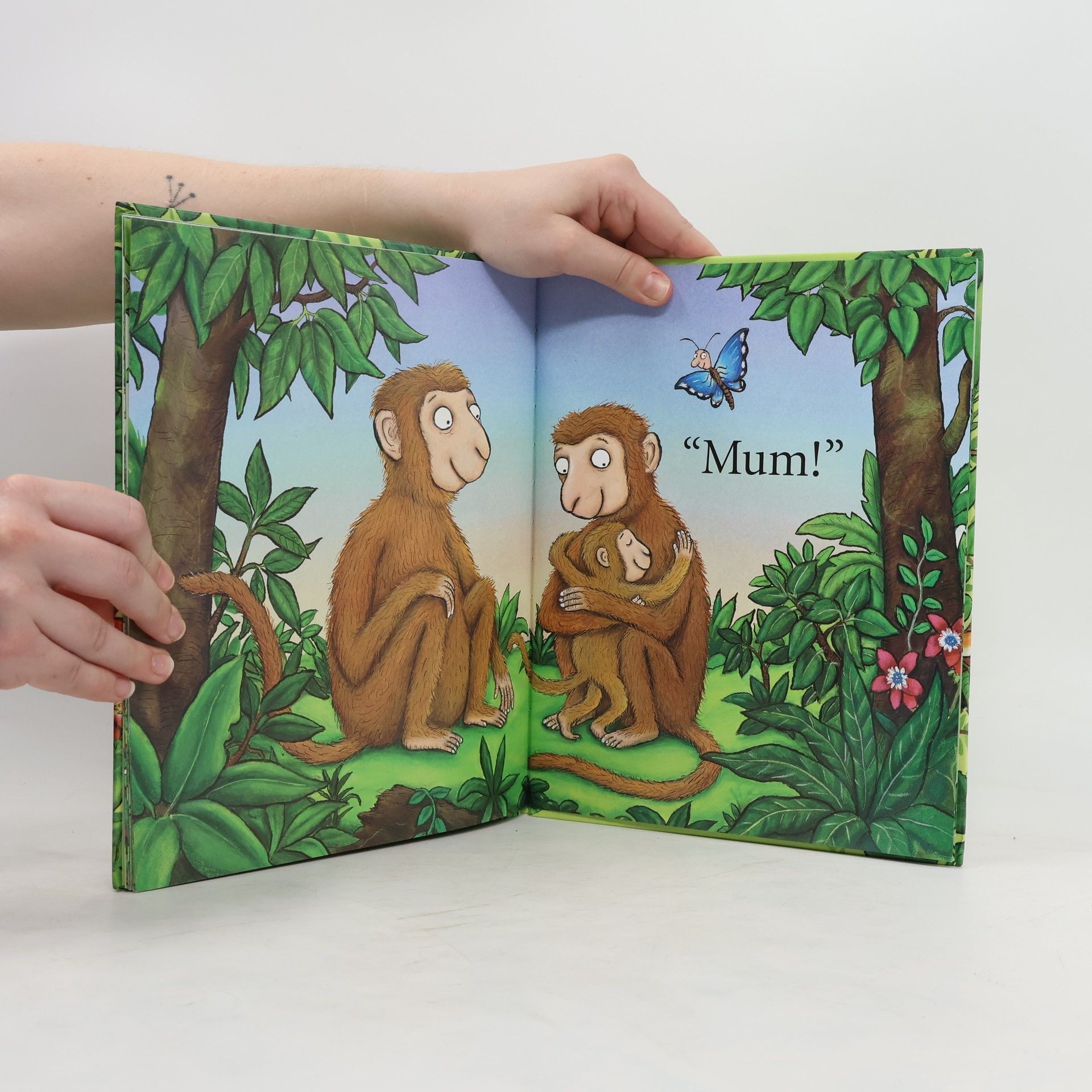 Axel Scheffler Monkey Puzzle