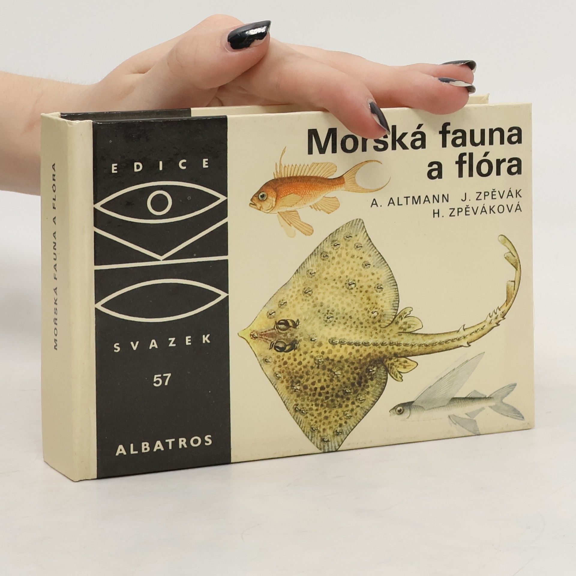 Antonín Altmann Mořská fauna a flóra