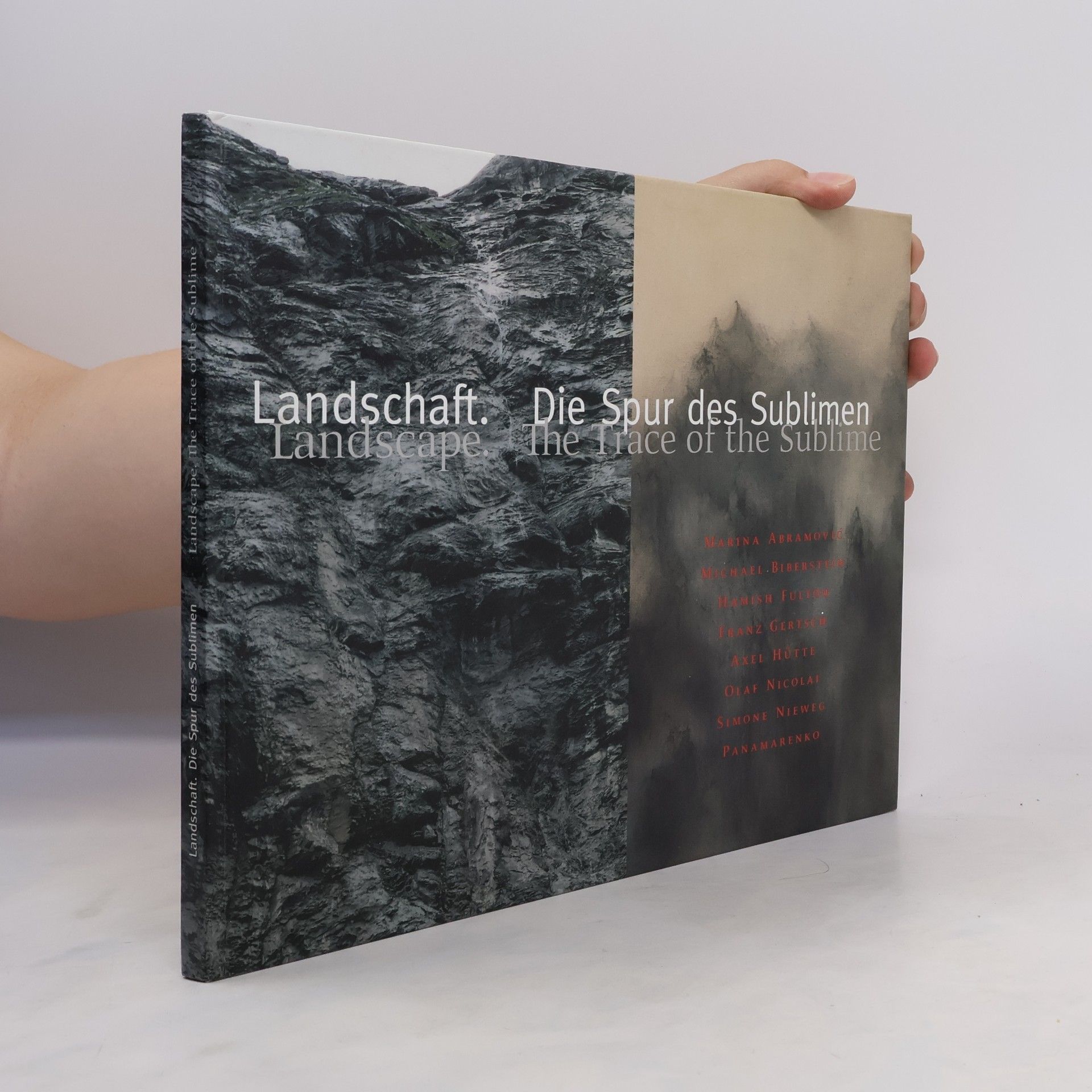 Werner Schmidt-Hieber Landschaft. Die Spur des Sublimen